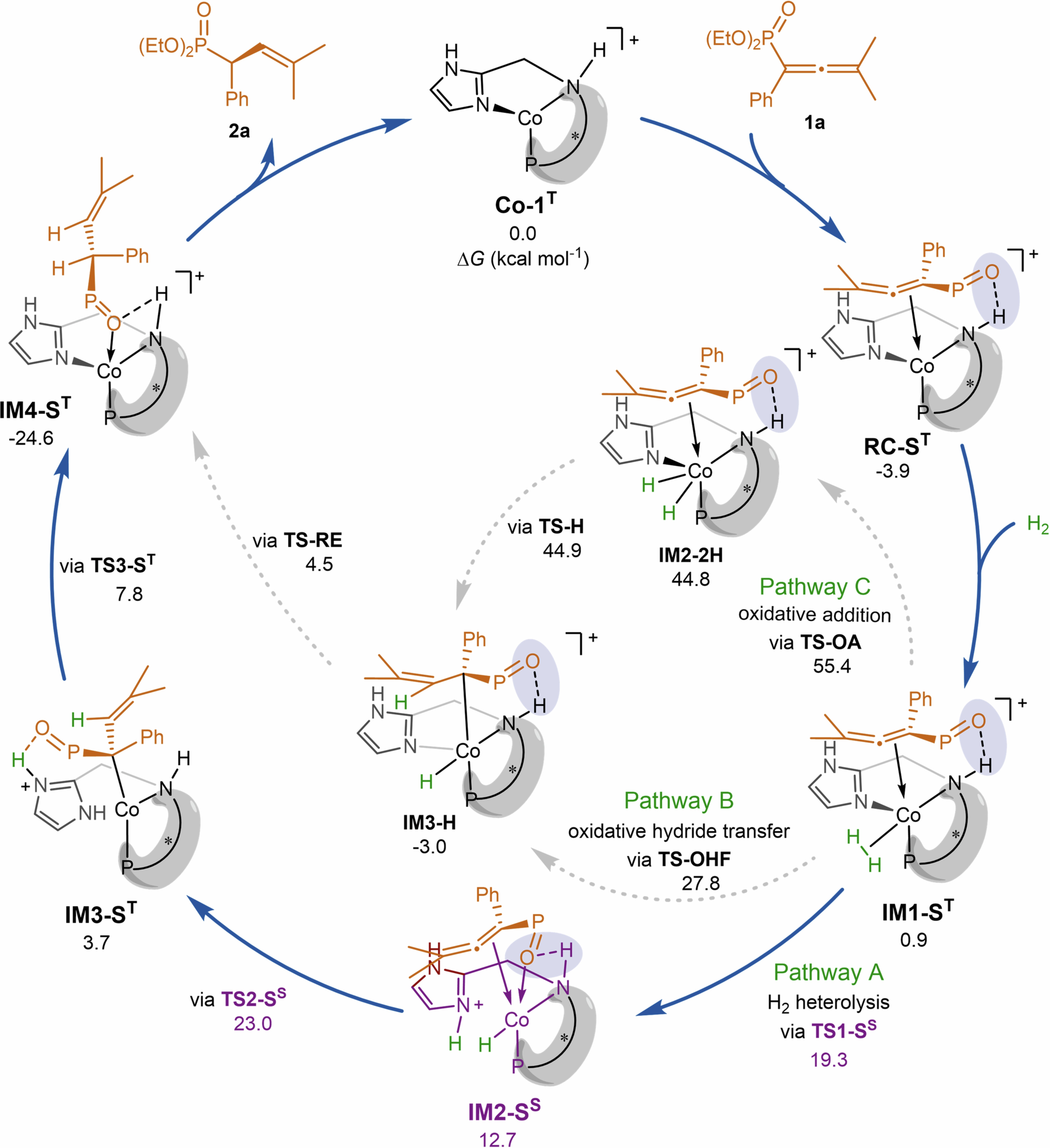 Extended Data Fig. 3: Catalytic cycle.