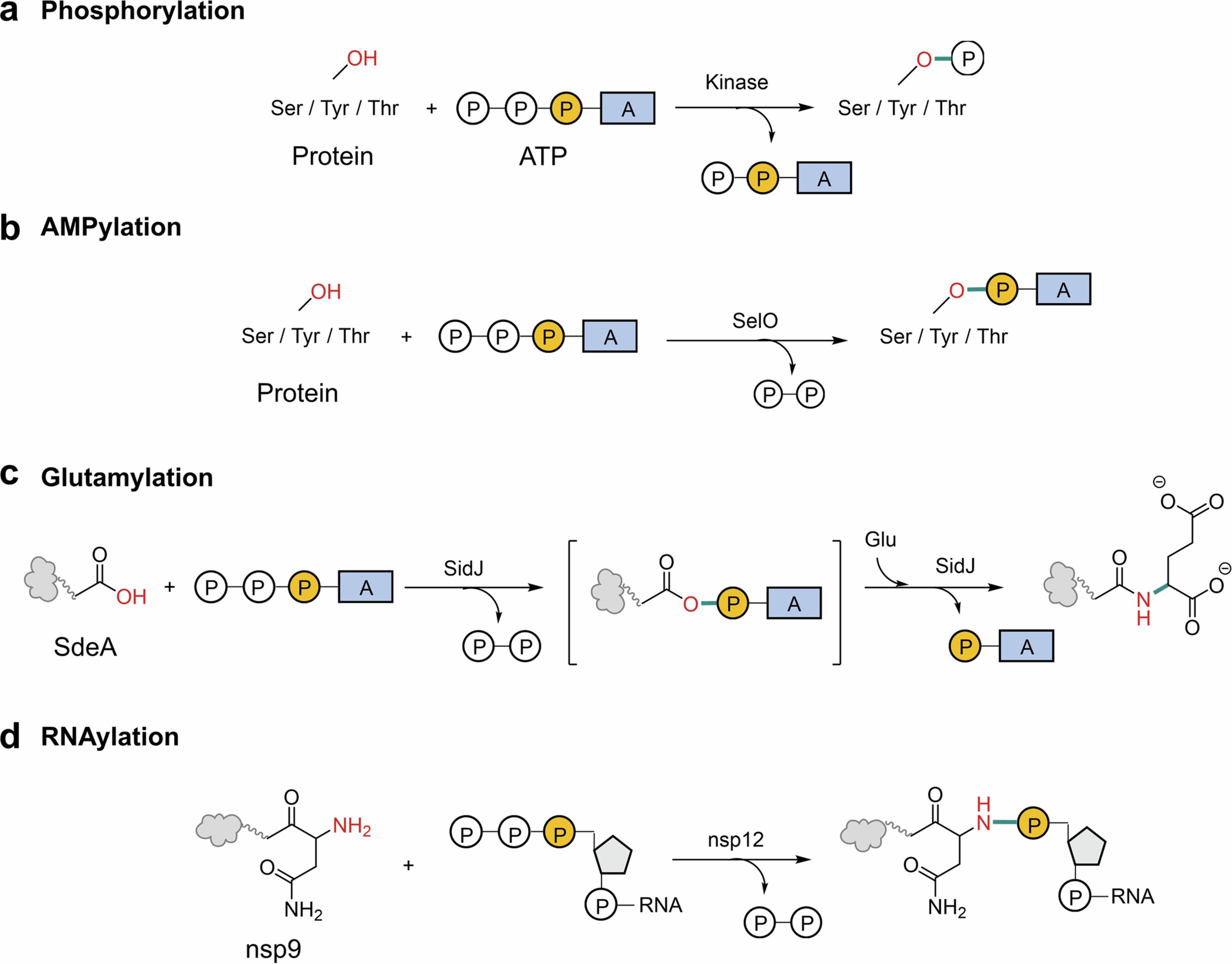 Extended Data Fig. 1