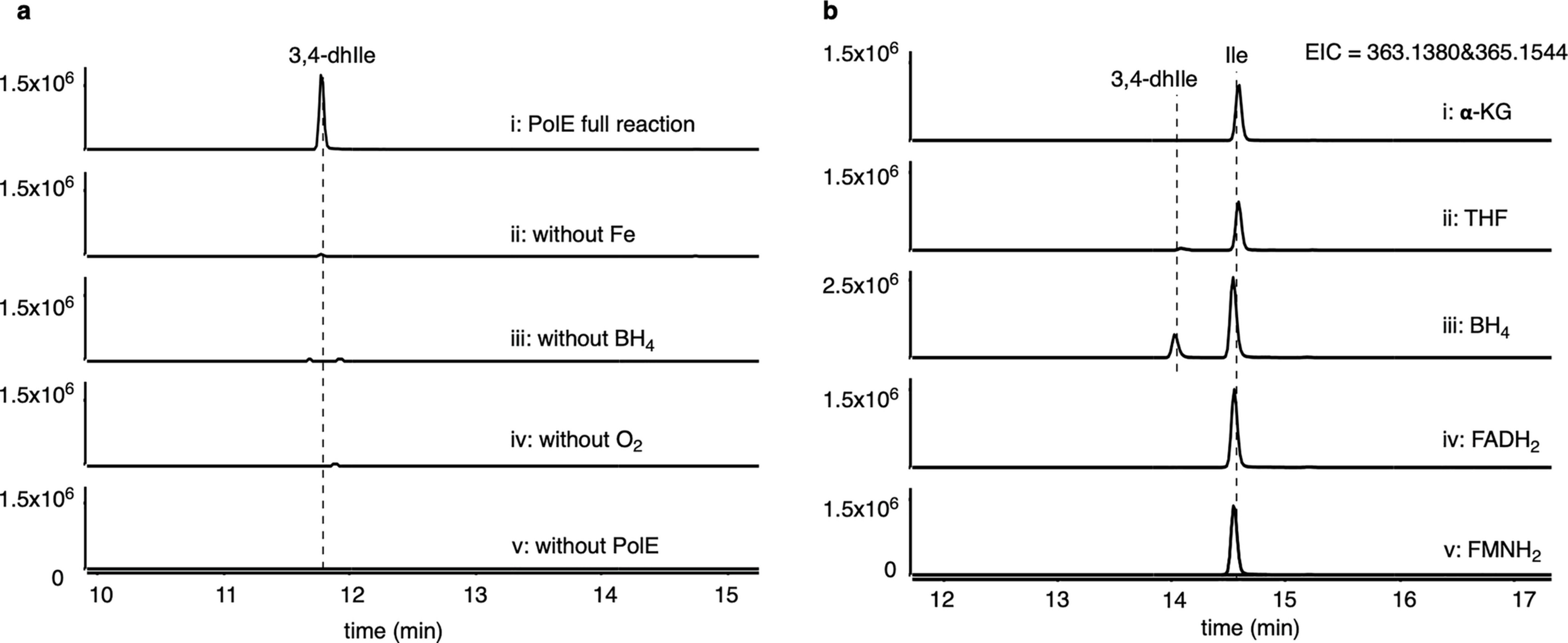 Extended Data Fig. 7: PolE activity assays.