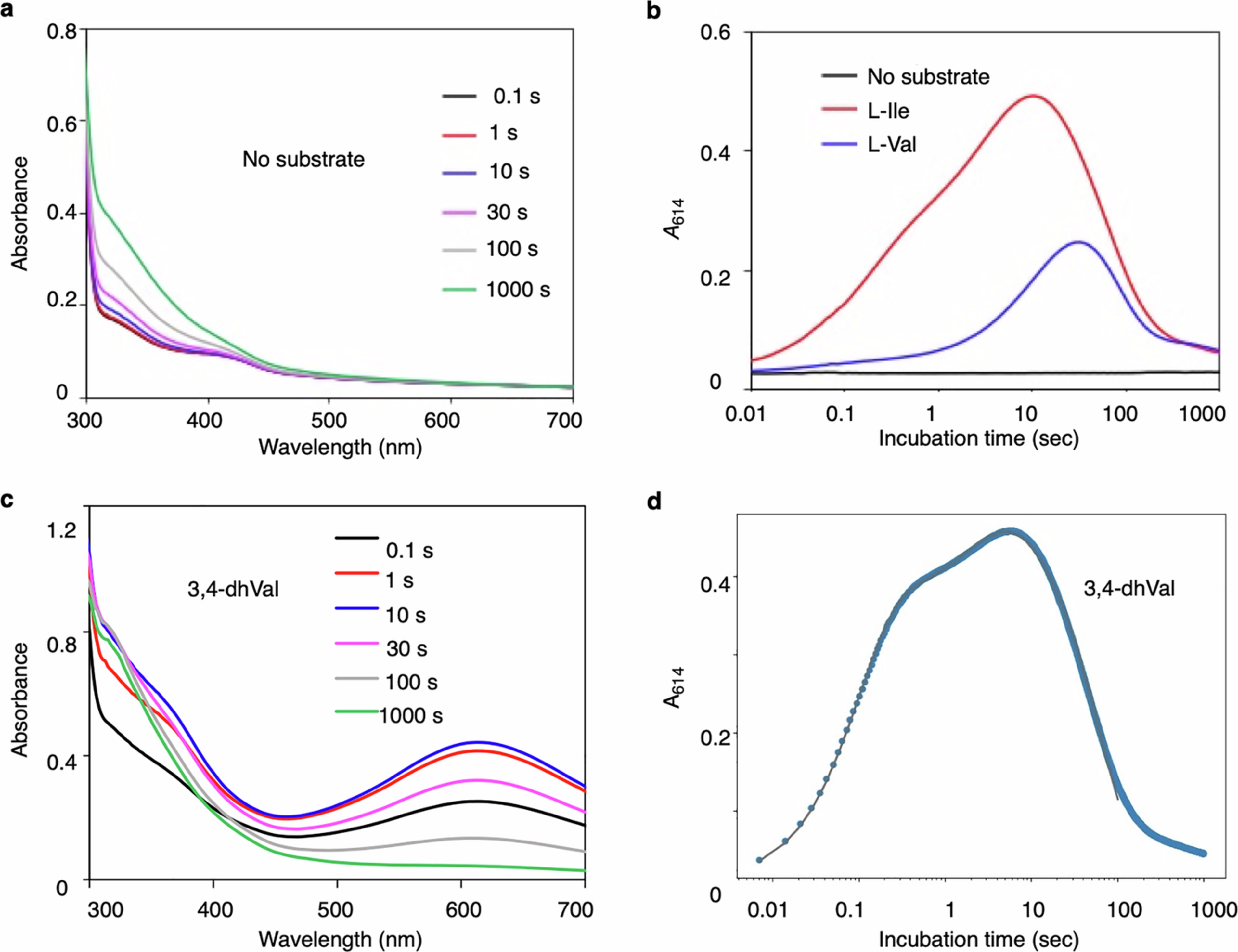 Extended Data Fig. 3: Stopped-flow analysis of O2 activation by PolF.