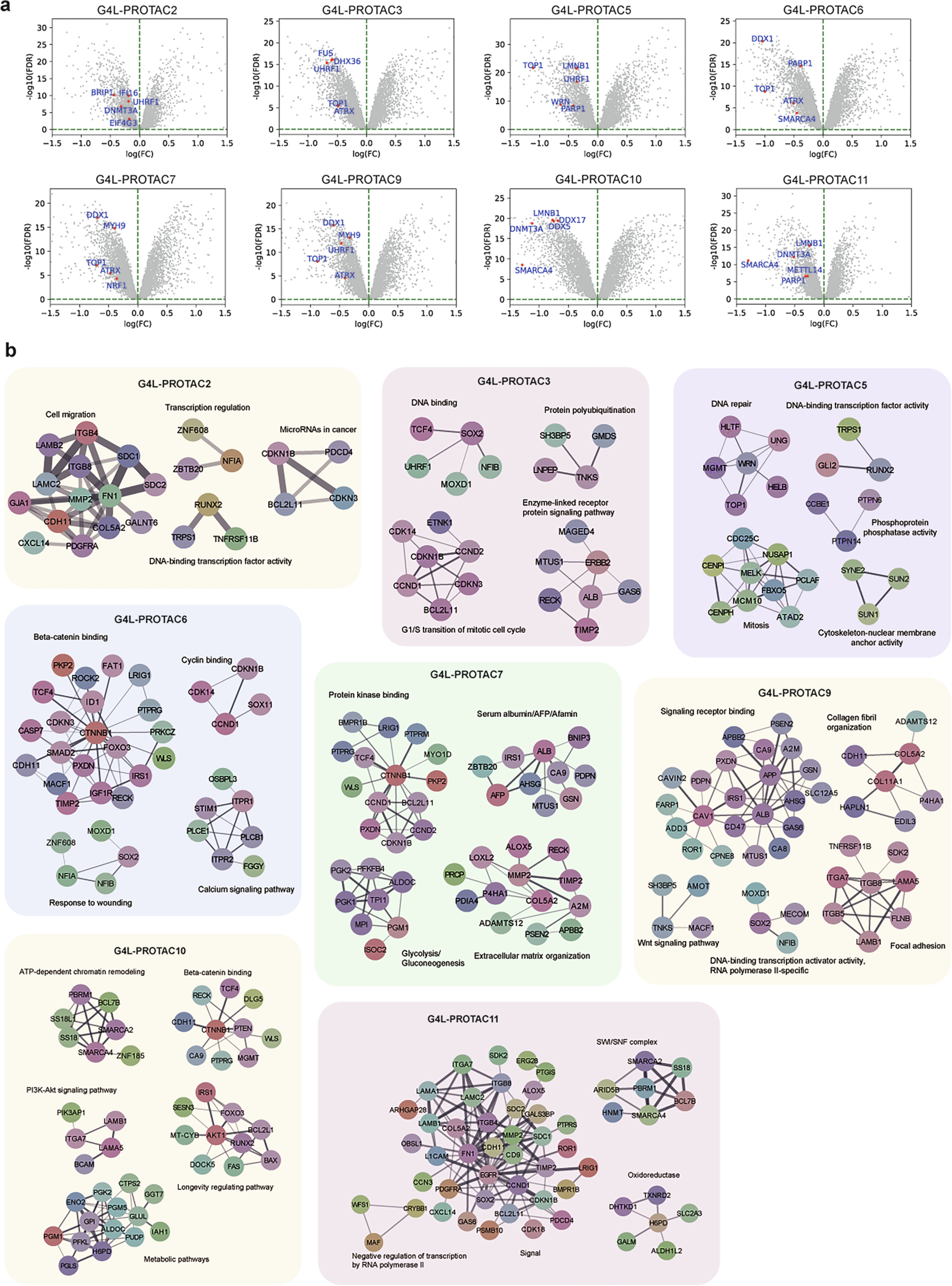 Extended Data Fig. 8: The degradation profiles of G4L-PROTACs in U2OS cells.