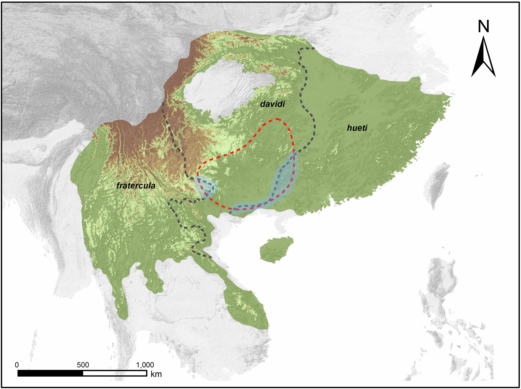 Extended Data Fig. 9: The parapatric distributions and contact zones of the fulvettas.