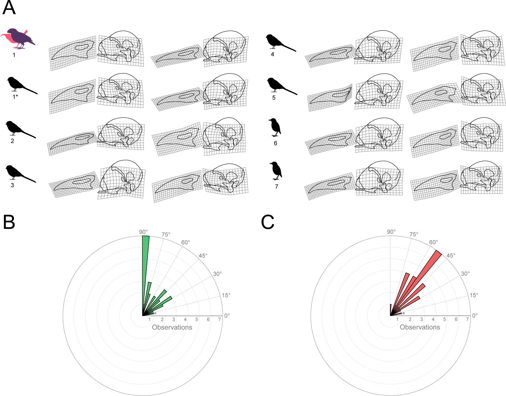 Extended Data Fig. 6