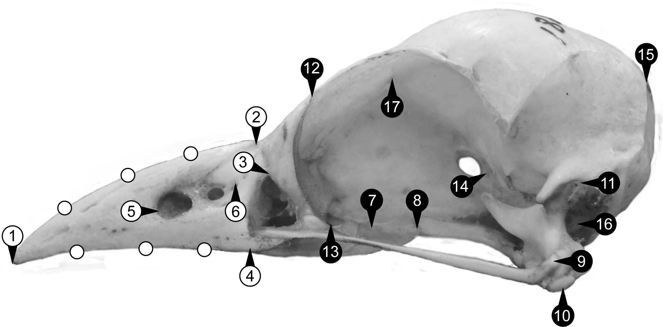 Extended Data Fig. 1