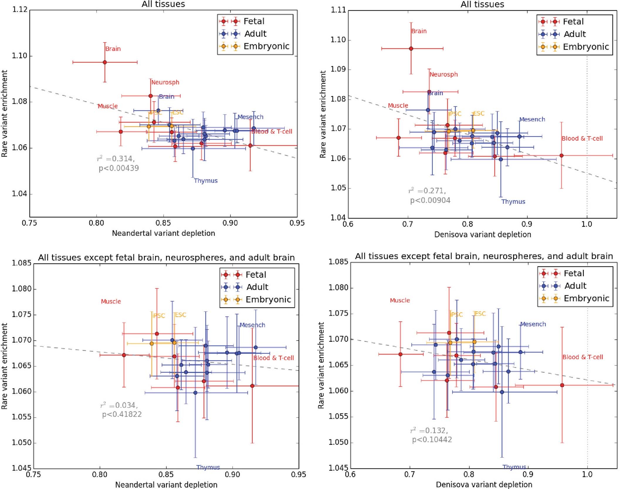 Extended Data Fig. 8: Joint distribution across tissues of enhancer singleton enrichment and introgression depletion.