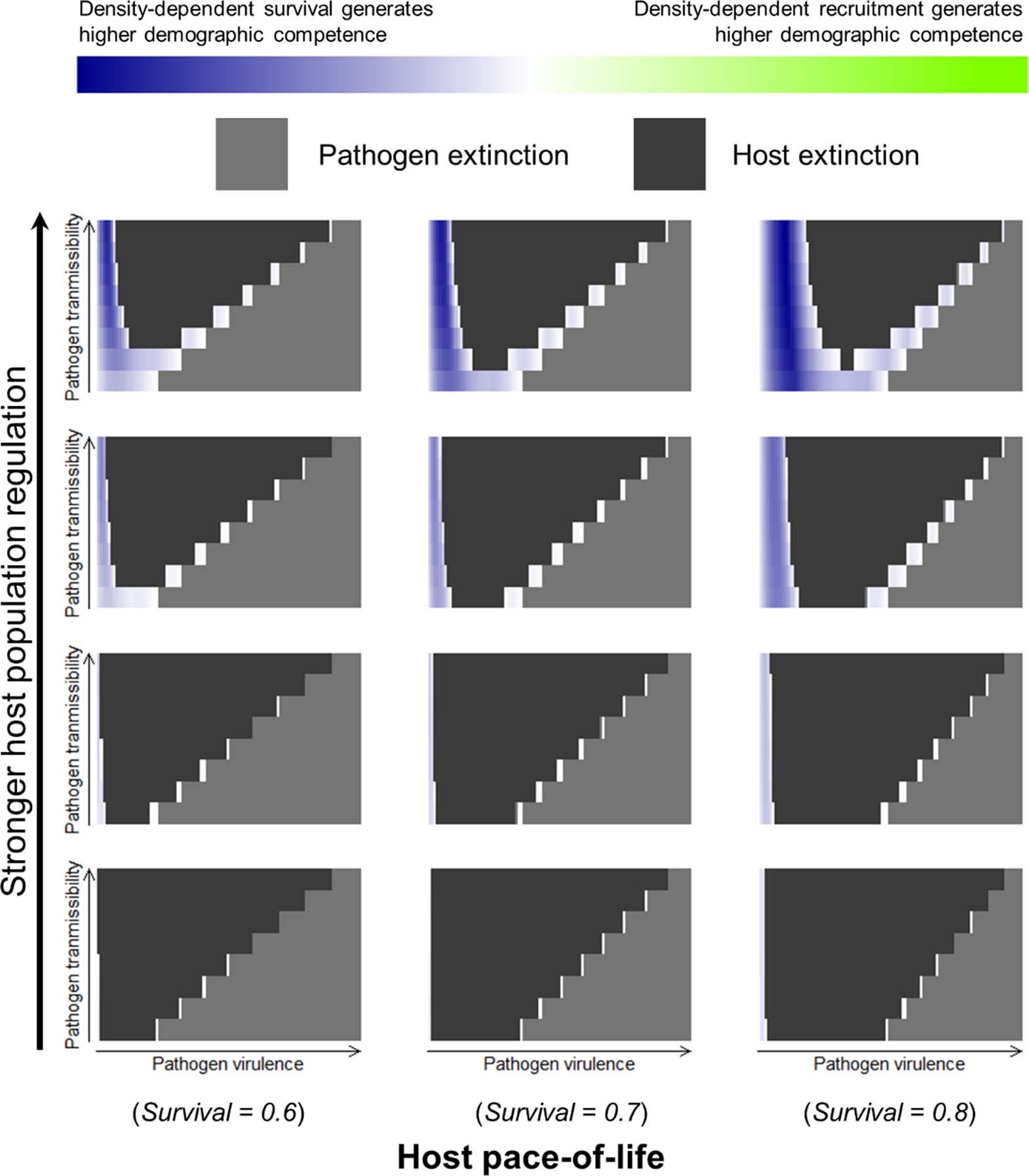 Extended Data Fig. 7: The impact of host pace-of-life (columns) on the relative importance of reproduction-based versus survival-based population regulation in generating demographically competent age-structured host populations in which juvenile survival is equal to adult survival; this figure shows results for a pathogen with frequency-dependent transmission across a range of strengths of host population regulation (rows, strength increasing from bottom to top).