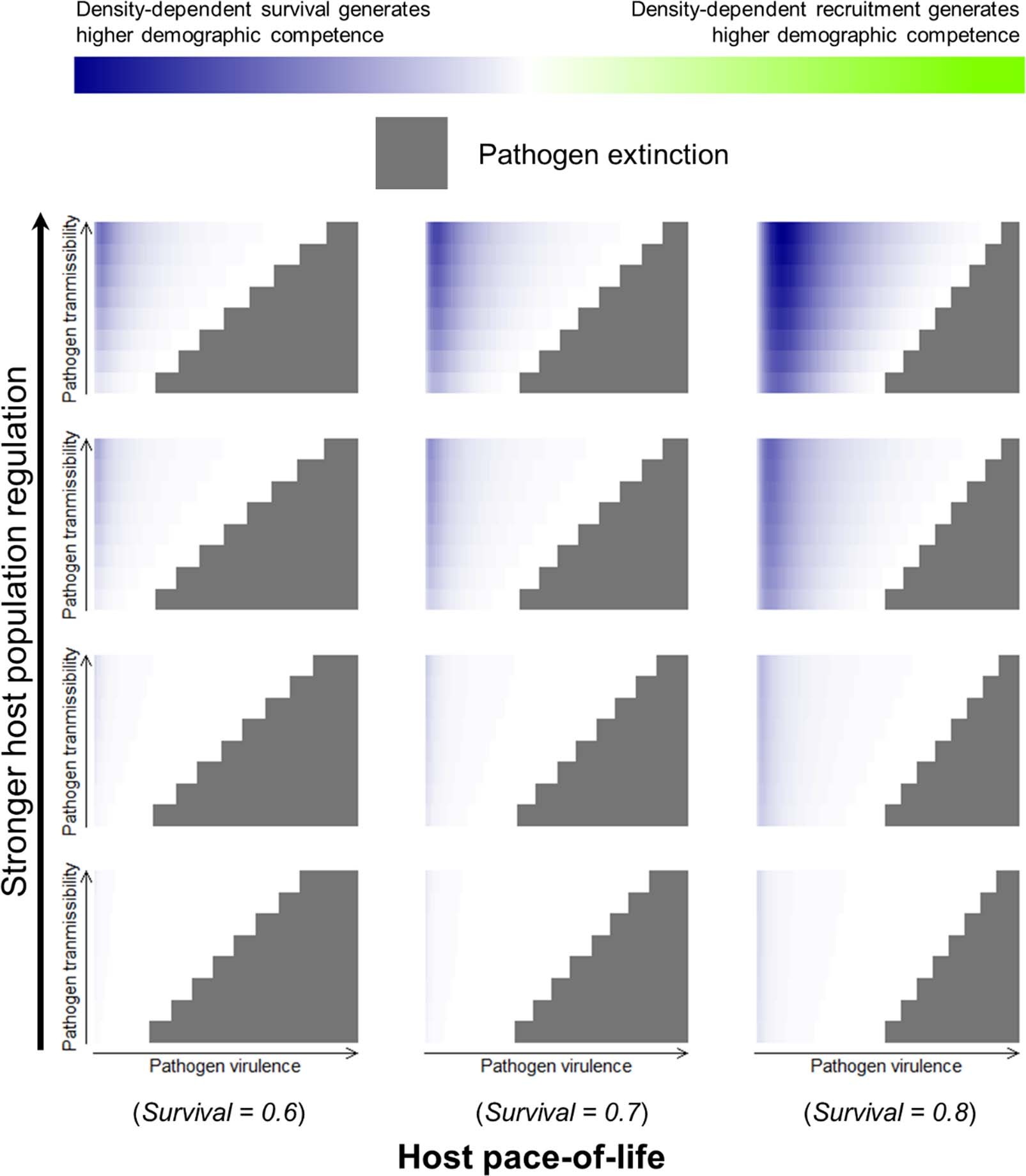 Extended Data Fig. 4: The impact of host pace-of-life (columns, slower as you move right) on the relative importance of reproduction-based versus survival-based host population regulation for demographic competence of an age structured population in which juvenile survival is equal to adult survival; this figure shows results for a pathogen with density-dependent transmission across a range of intensities of host population regulation (rows, increasing as you go up).