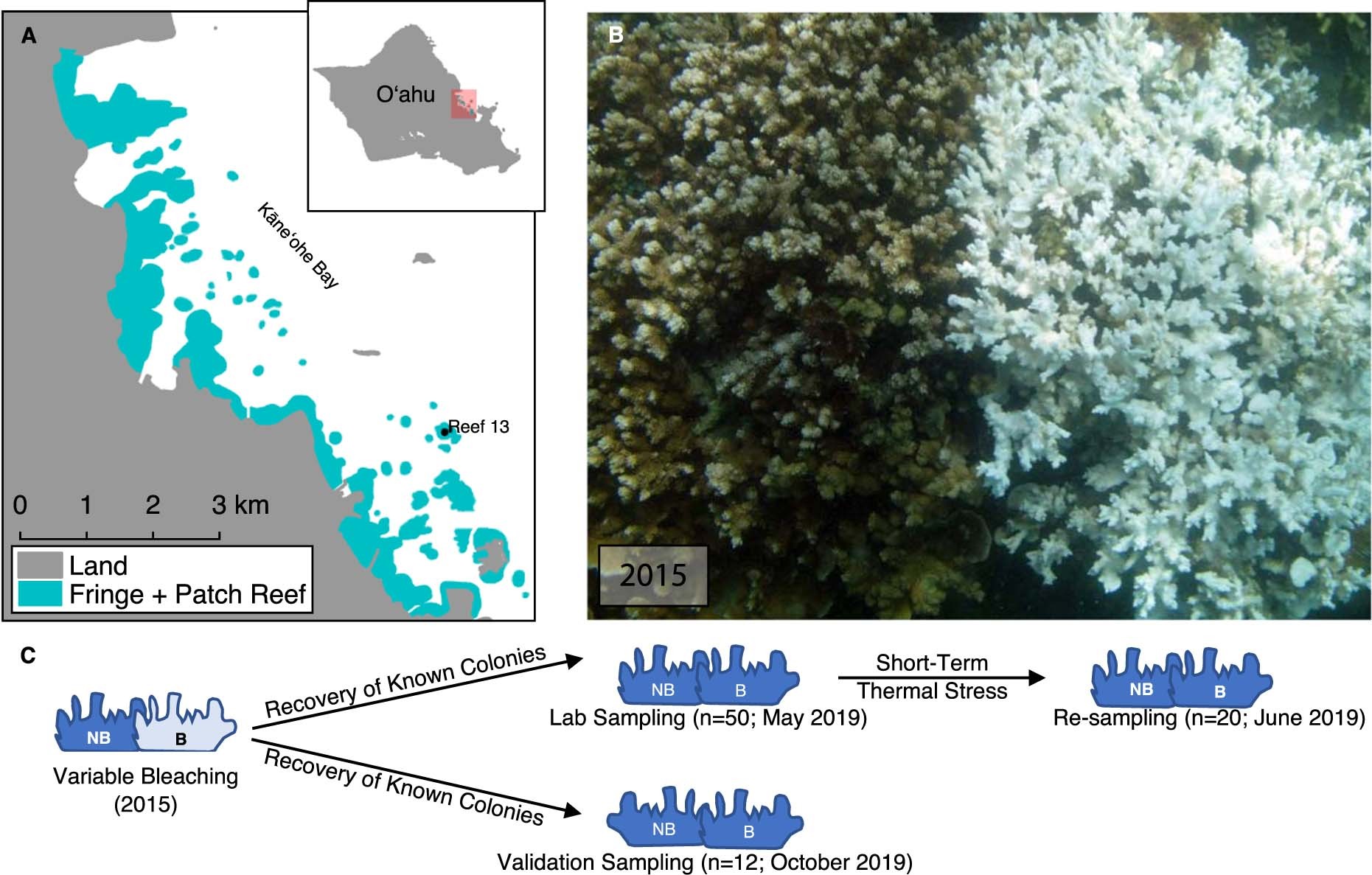 Extended Data Fig. 1