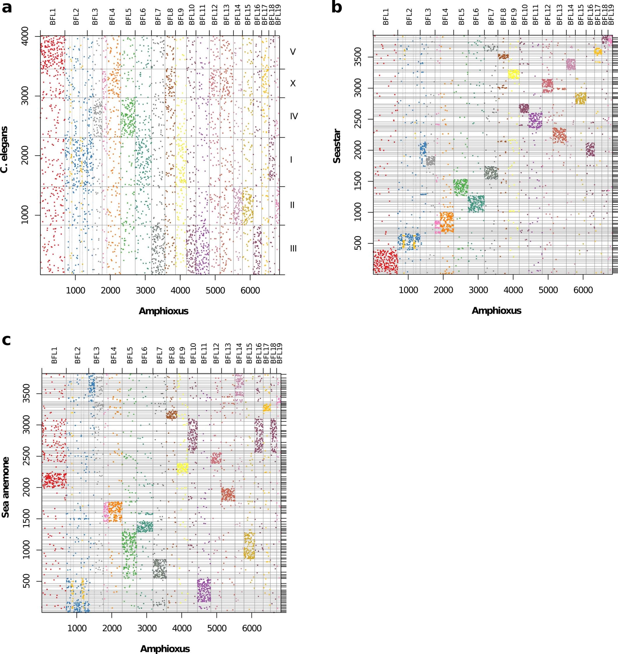 Extended Data Fig. 4: Dot-plots showing conserved syntenies between amphioxus and selected invertebrates.
