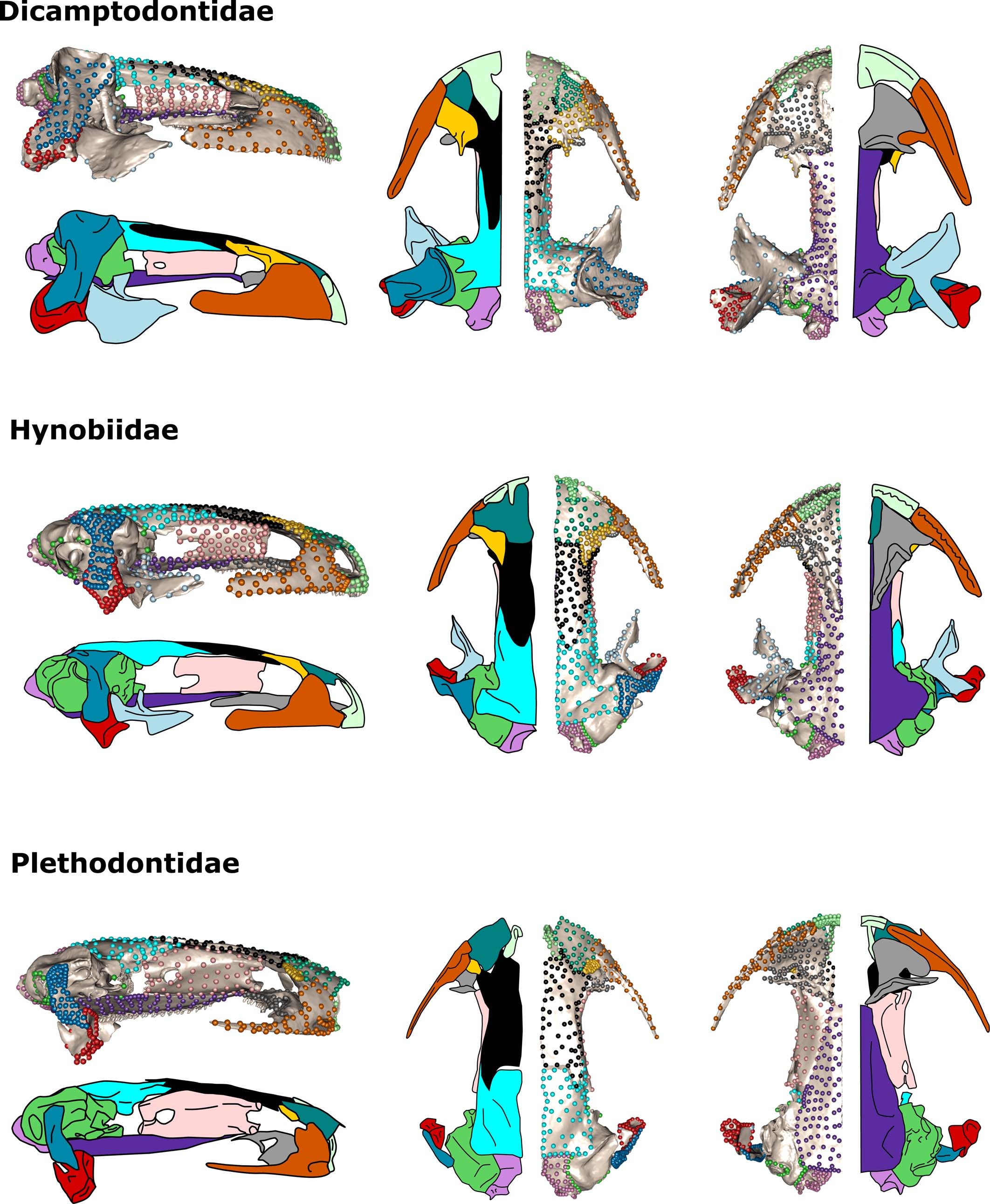 Extended Data Fig. 2