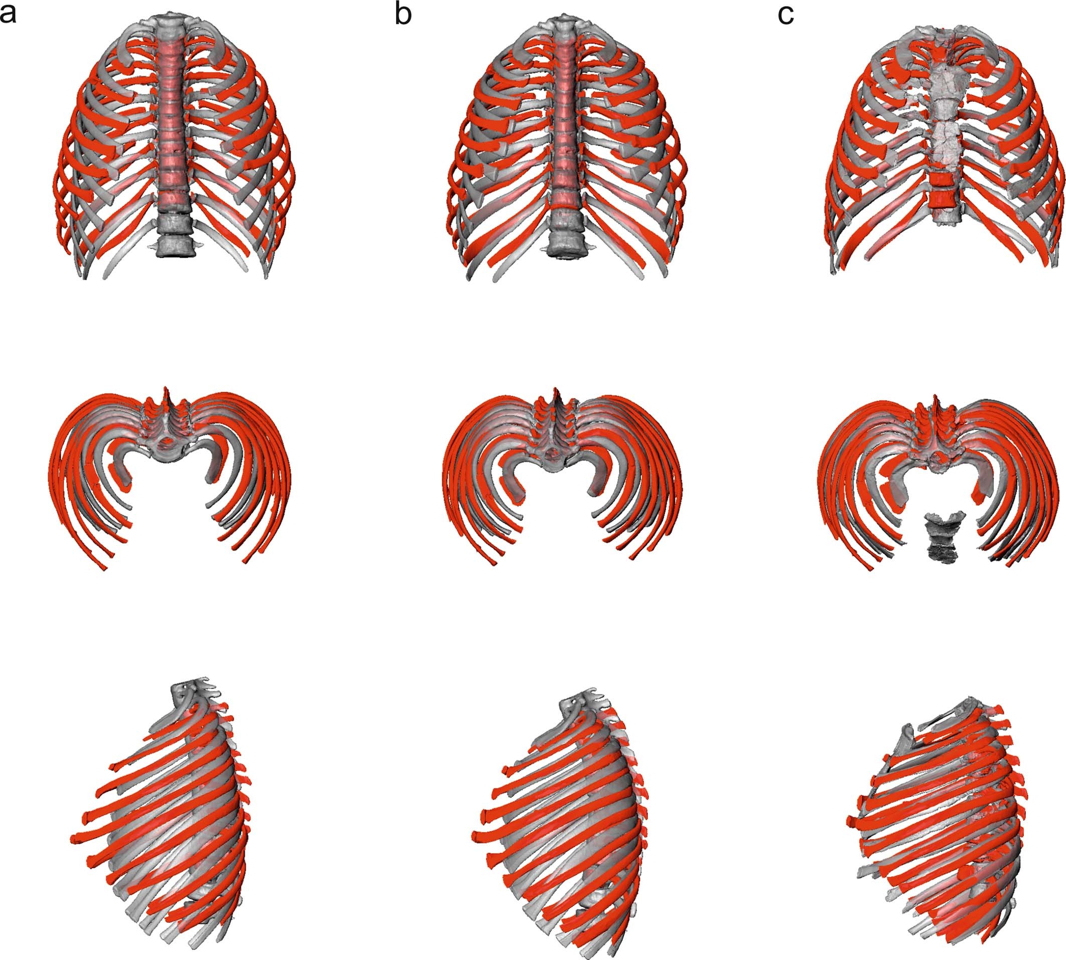 Extended Data Fig. 3