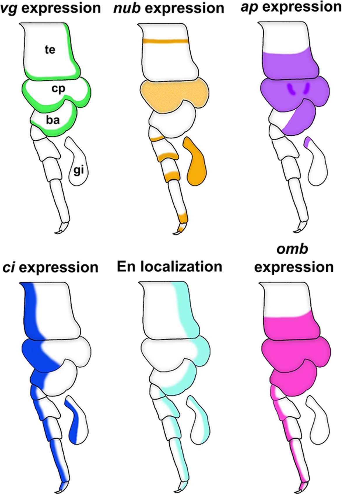 Extended Data Fig. 7