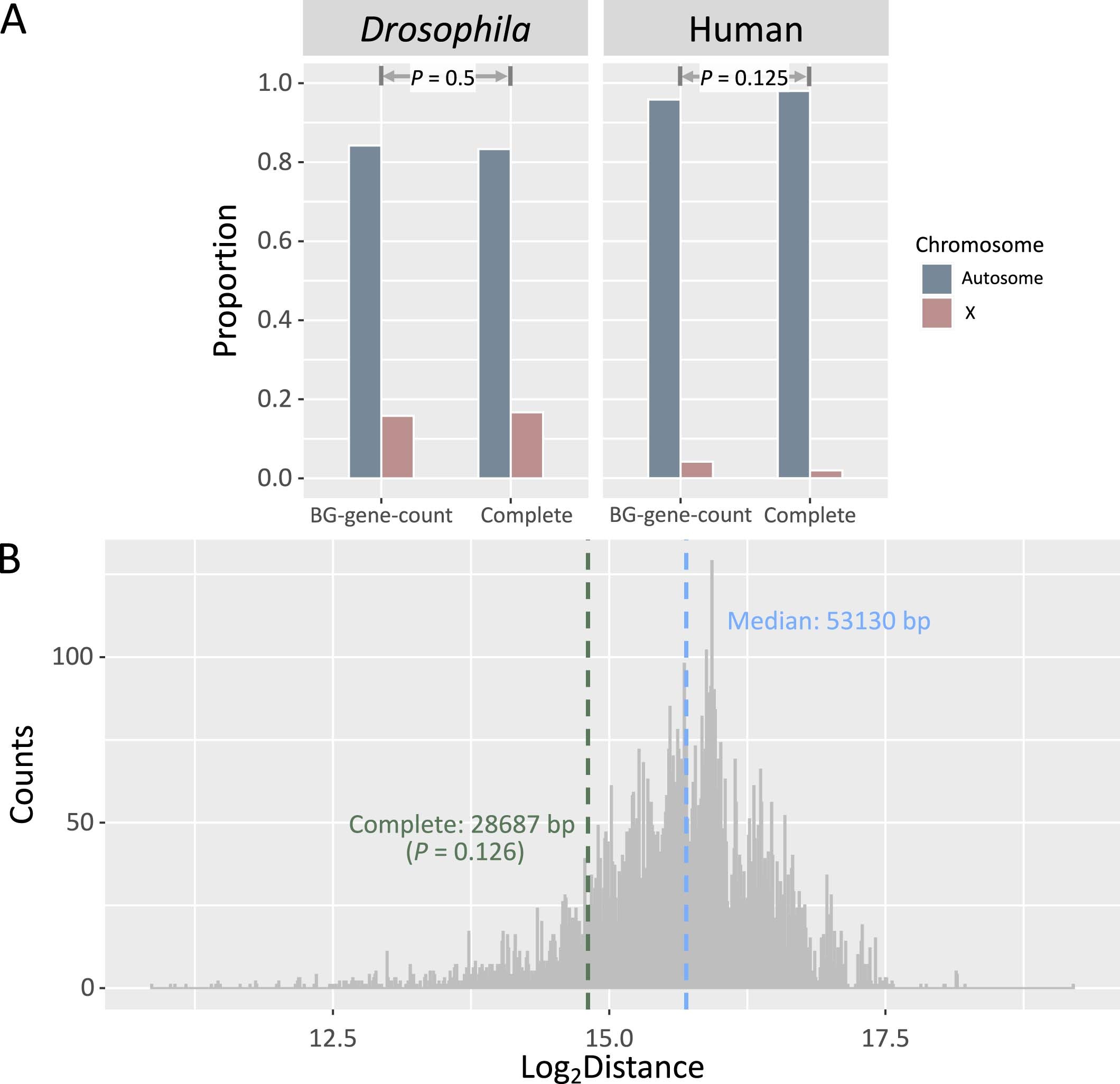 Extended Data Fig. 6: The distribution of duplicates across different chromosomes and distribution of distances to HASs.