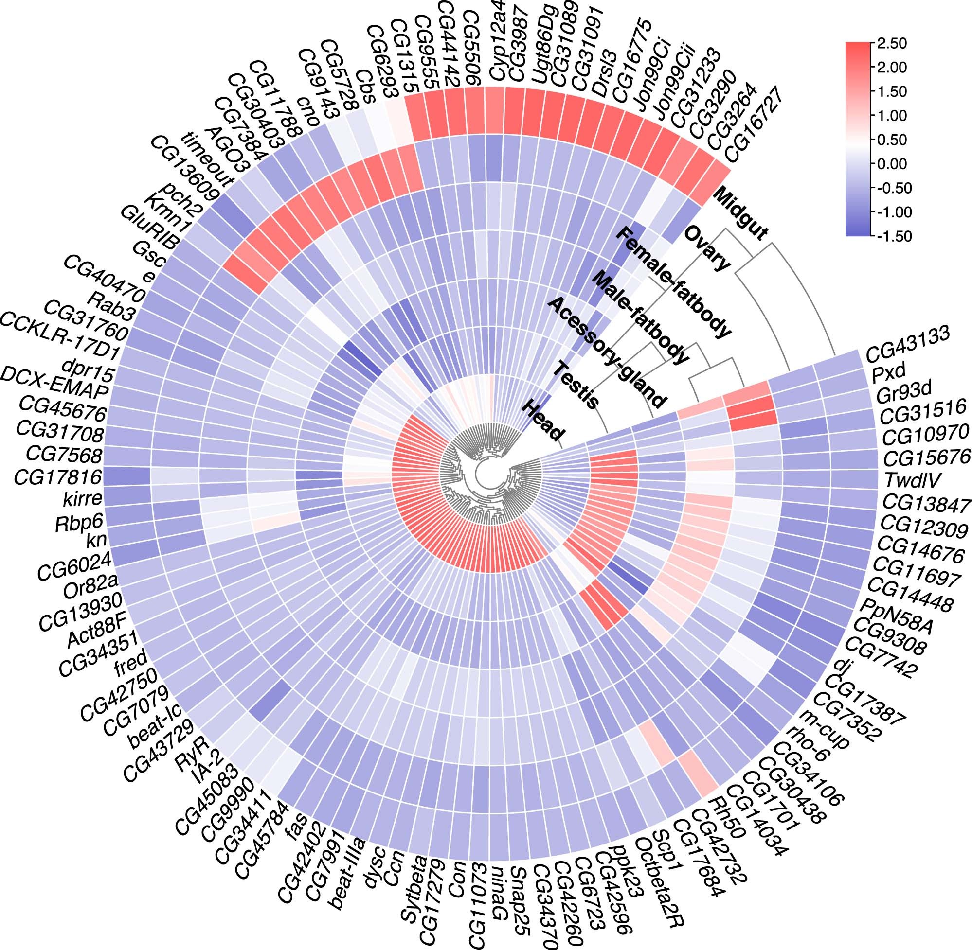 Extended Data Fig. 2: Heatmap of 108 tissue-specific genes.