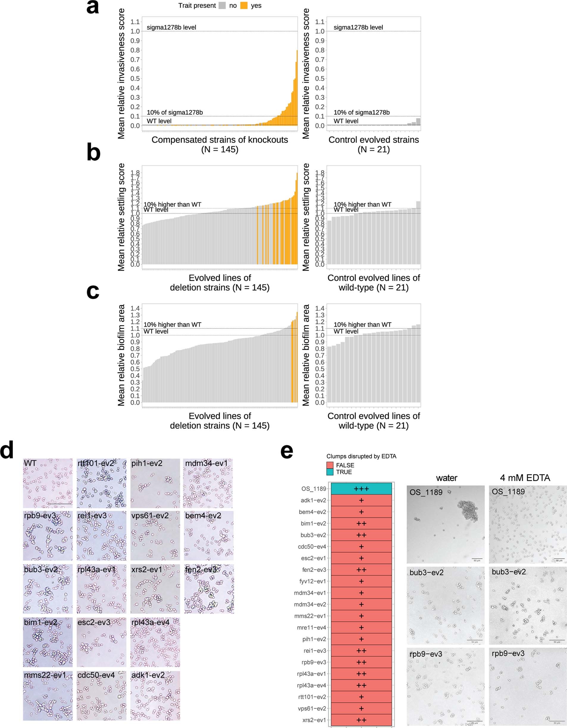 Extended Data Fig. 8: Multicellular morphologies of compensated strains.
