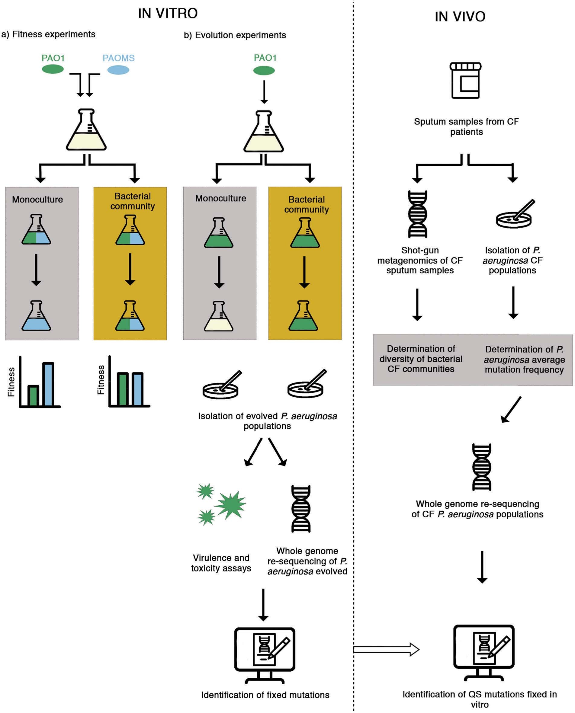 Extended Data Fig. 1