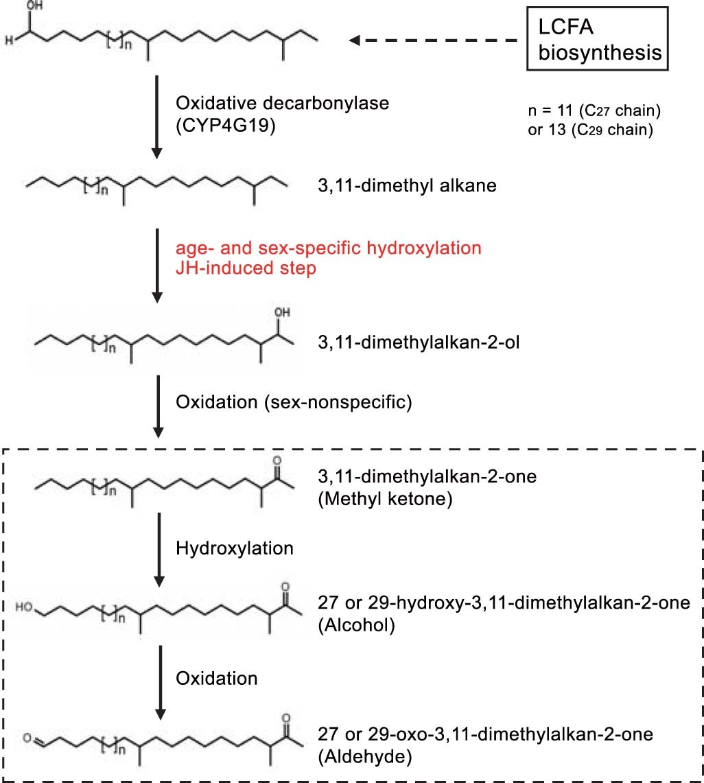 Extended Data Fig. 1