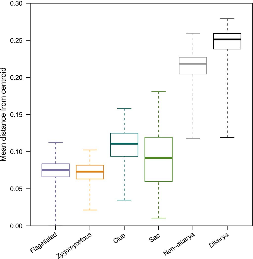 Extended Data Fig. 1: Mean distance from centroid of 1000 bootstraps of the four morphotypes, Dikarya, and non-dikaryotic fungi.