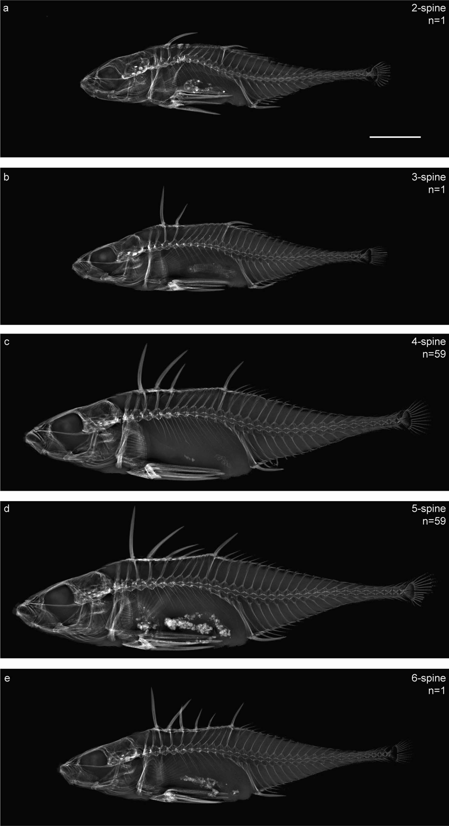 Extended Data Fig. 8