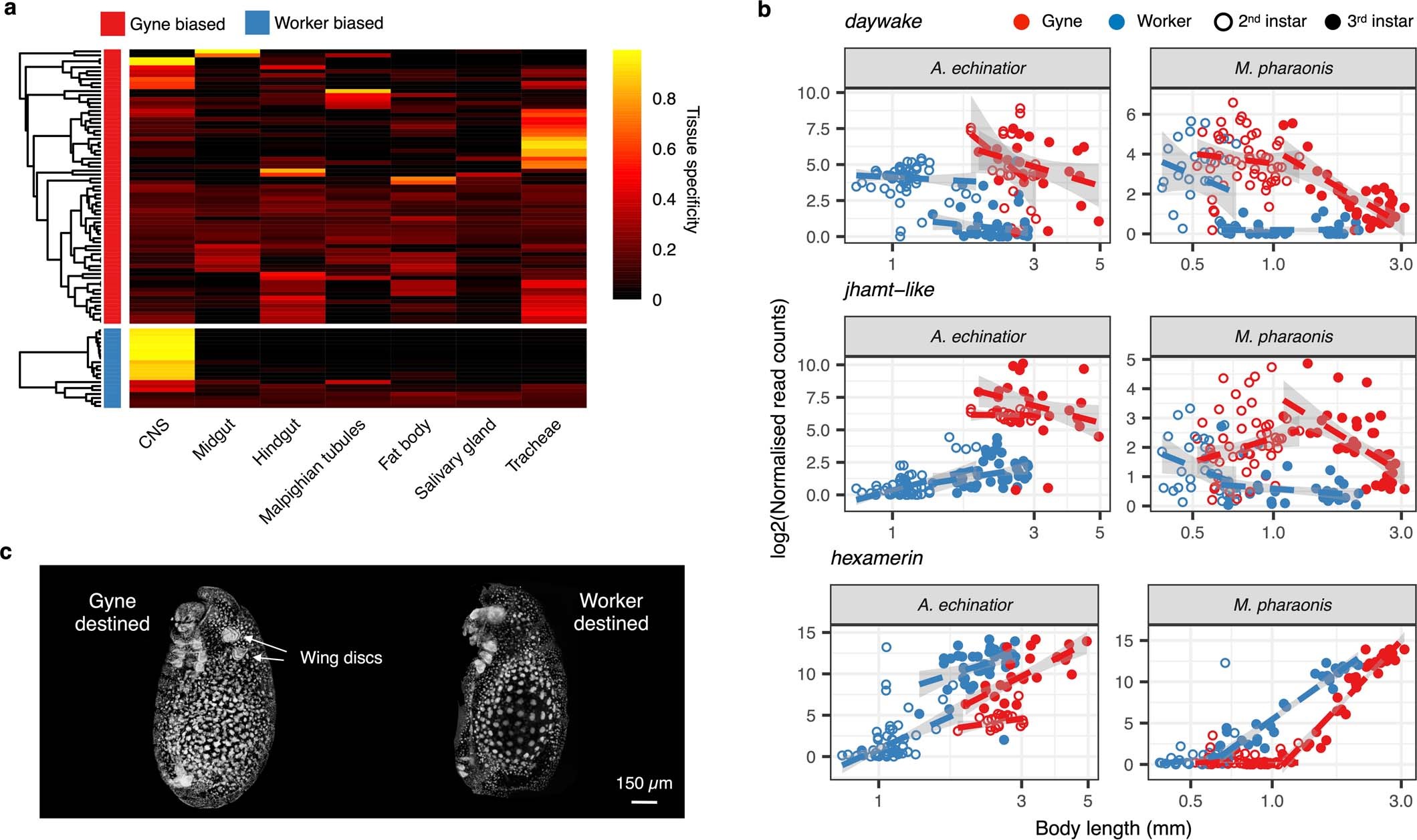 Extended Data Fig. 4