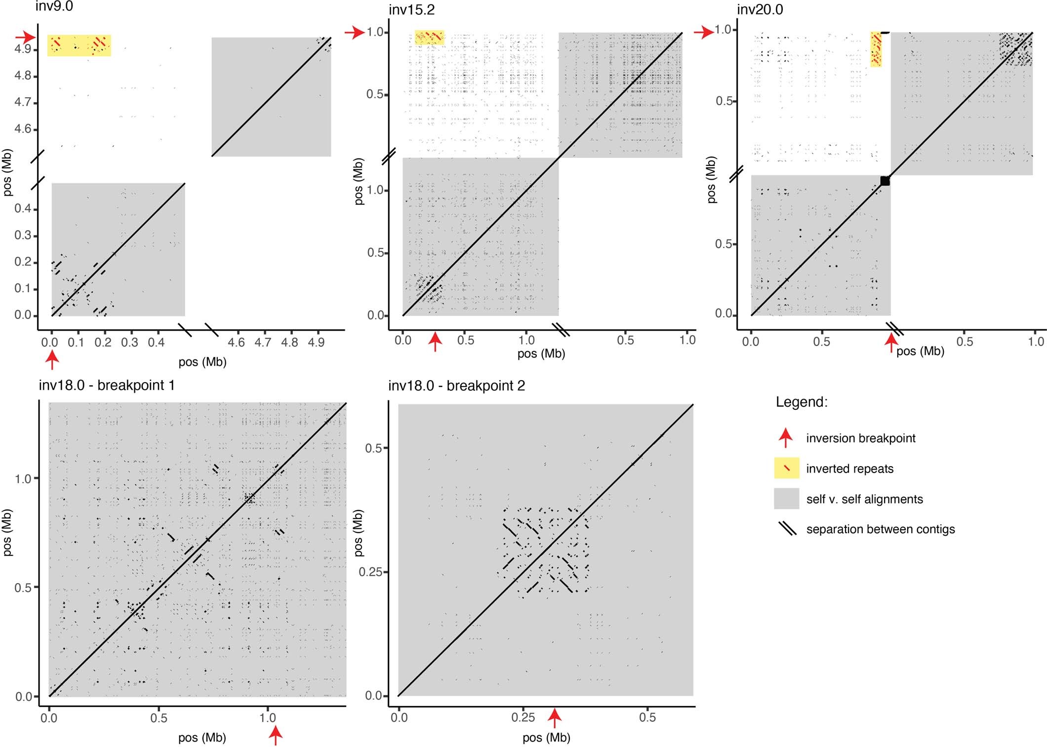 Extended Data Fig. 4: Inverted repeats and segmental duplications.