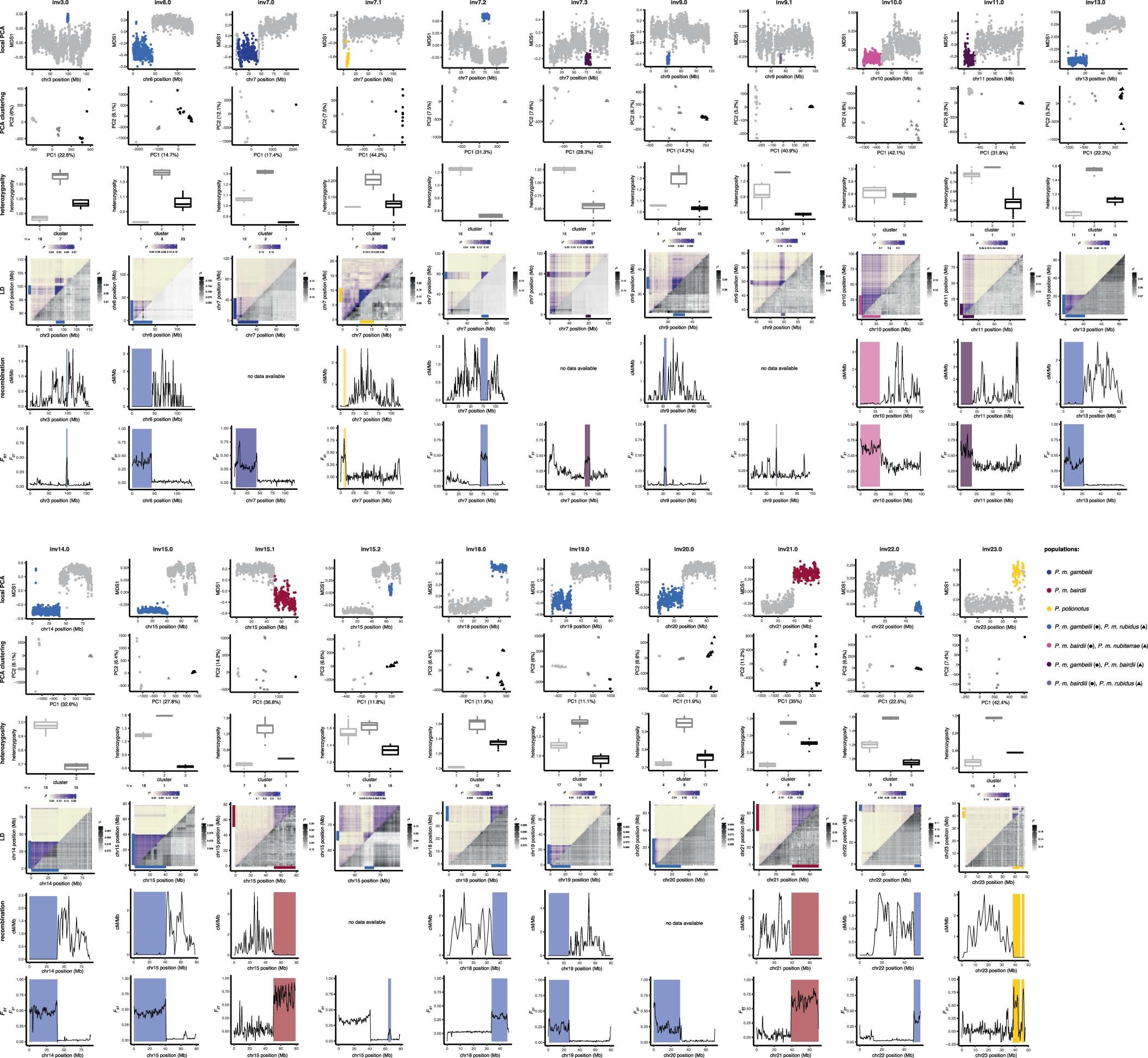 Extended Data Fig. 1: Identifying inversion polymorphisms based on population genomic signatures.