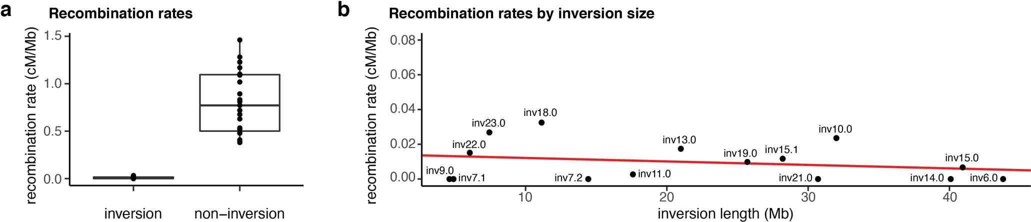 Extended Data Fig. 2: Recombination effects of inversion heterozygotes.
