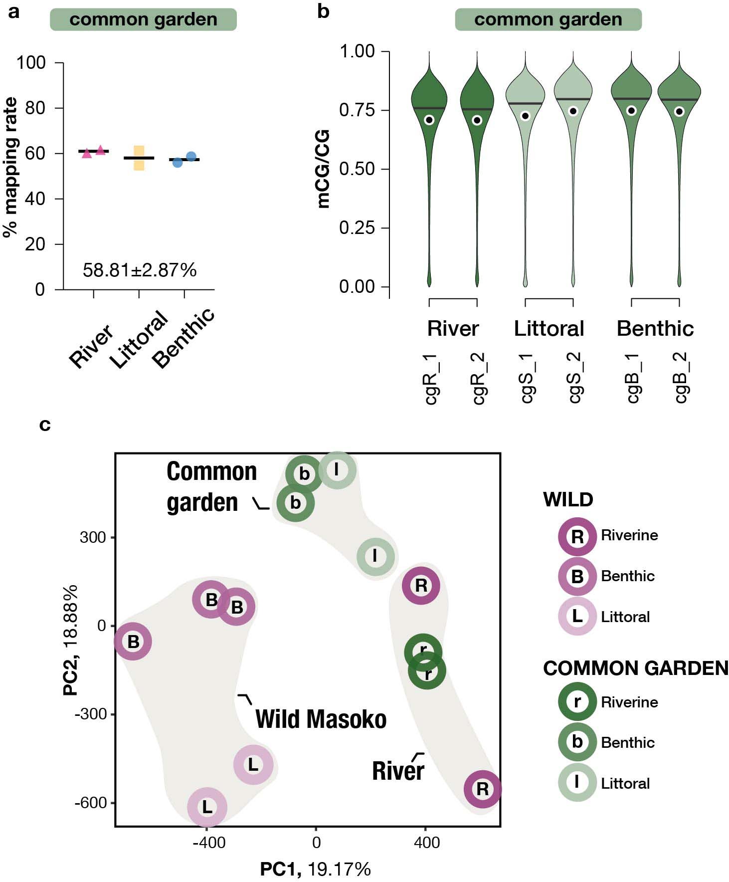 Extended Data Fig. 8