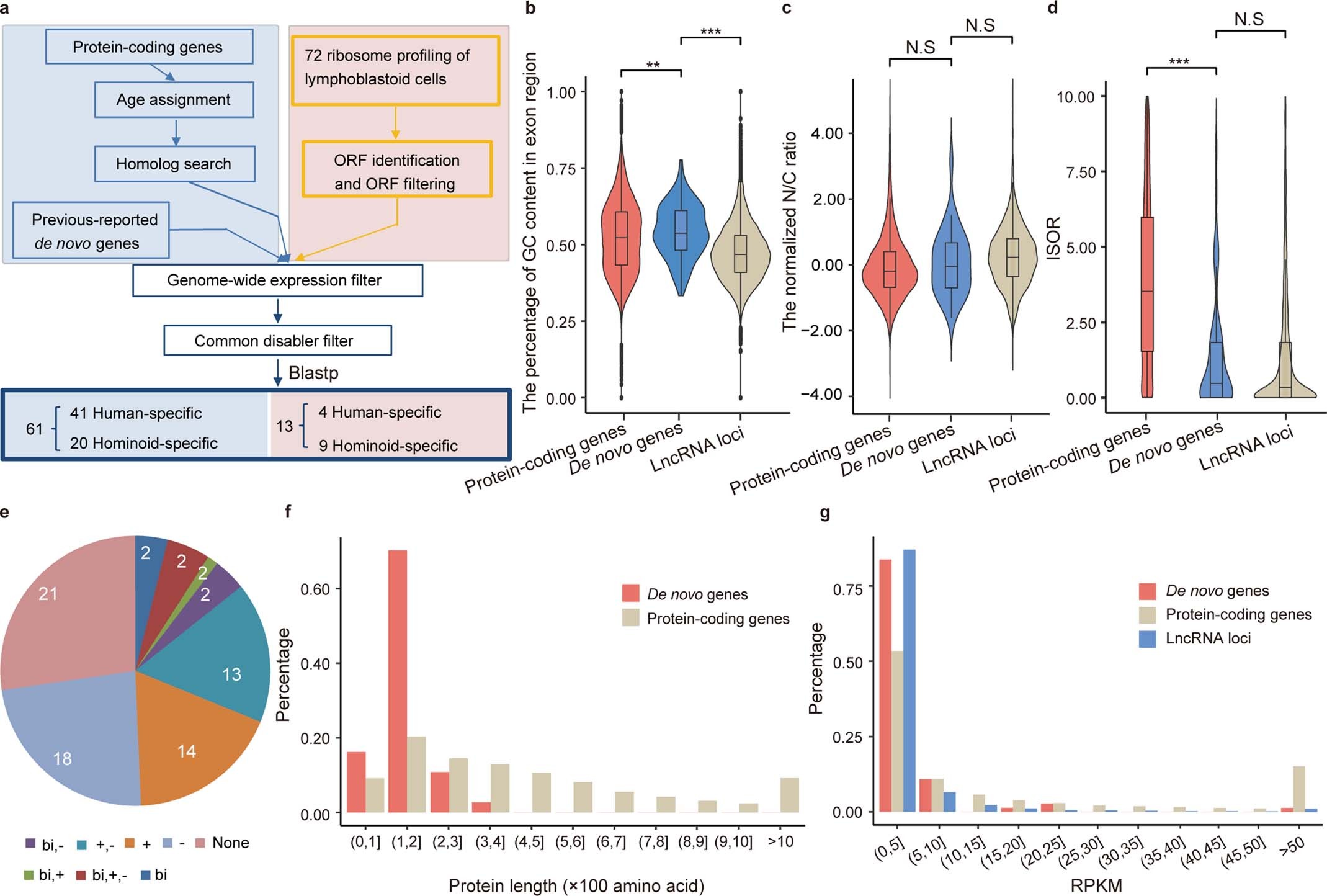 Extended Data Fig. 4: Identification of human-/hominoid-specific de novo genes.