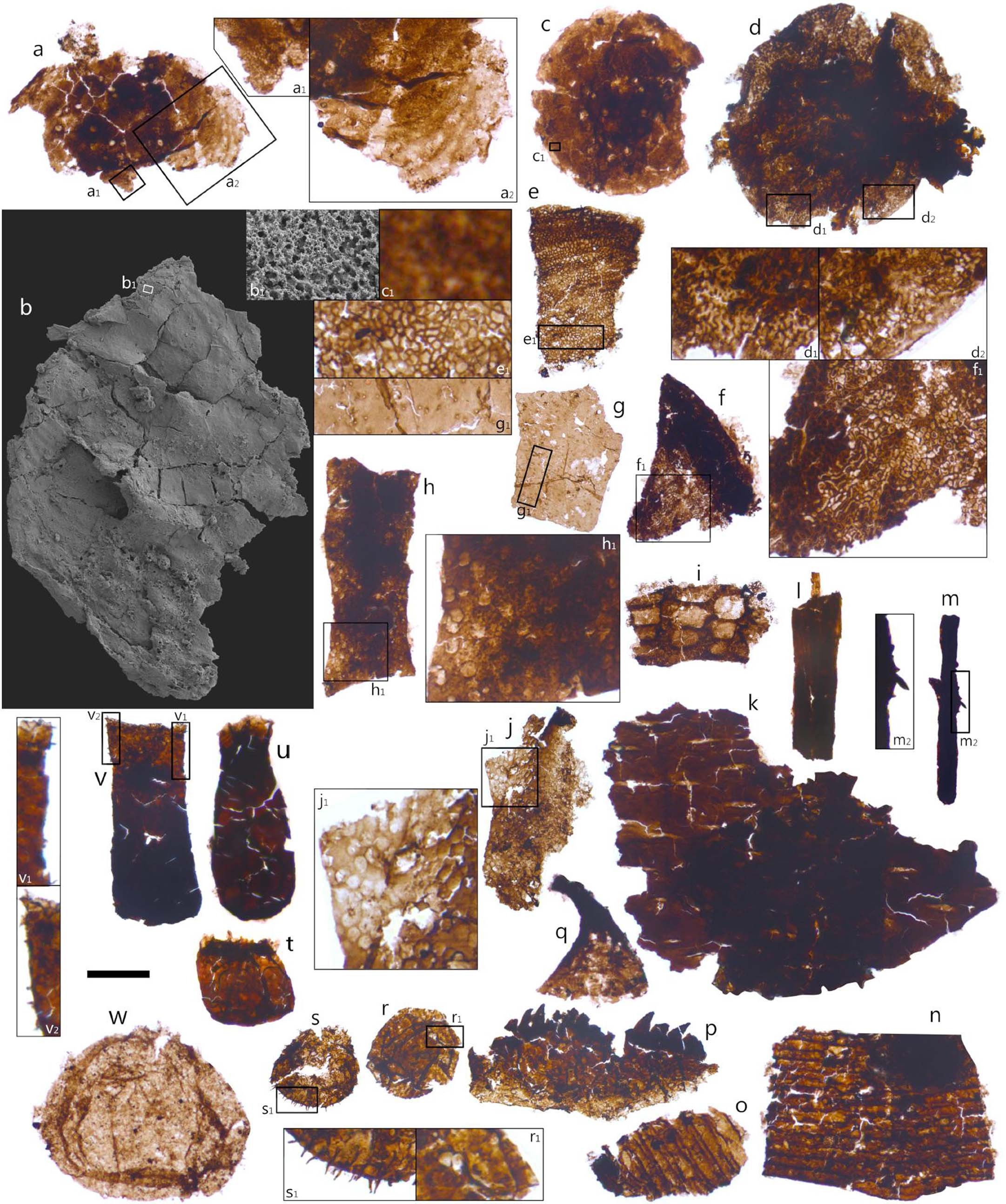 Extended Data Fig. 7