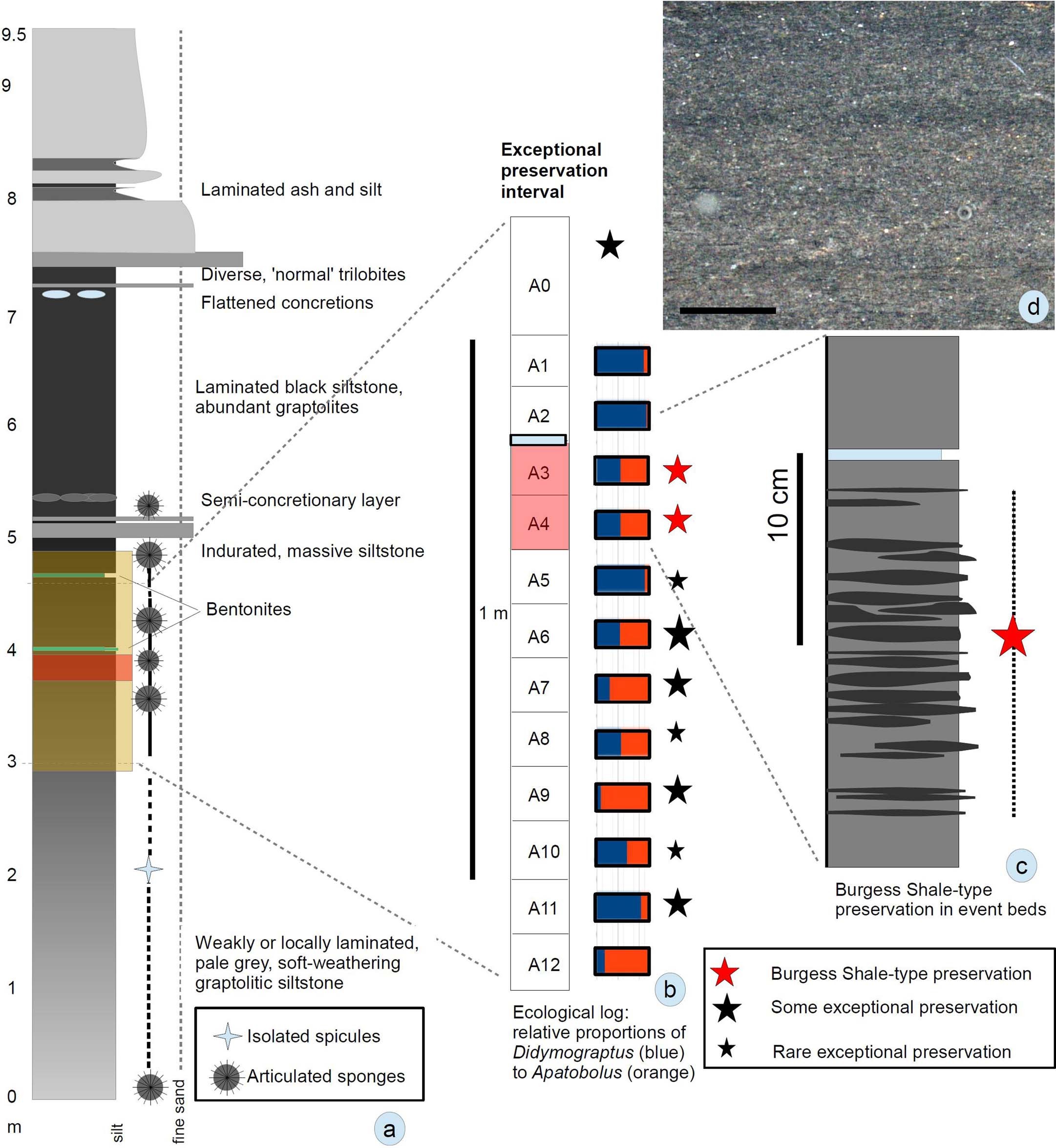 Extended Data Fig. 1