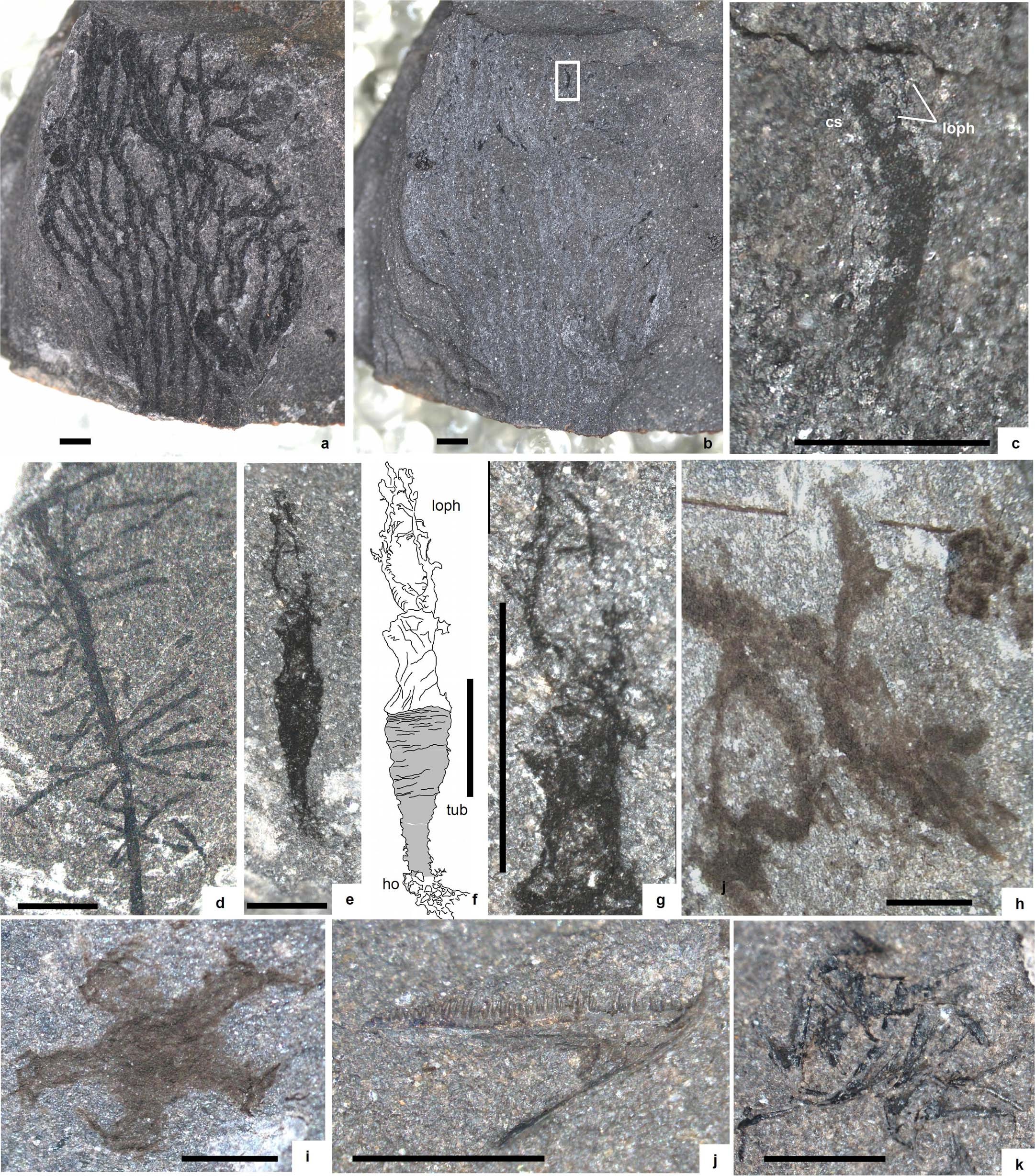 Extended Data Fig. 4