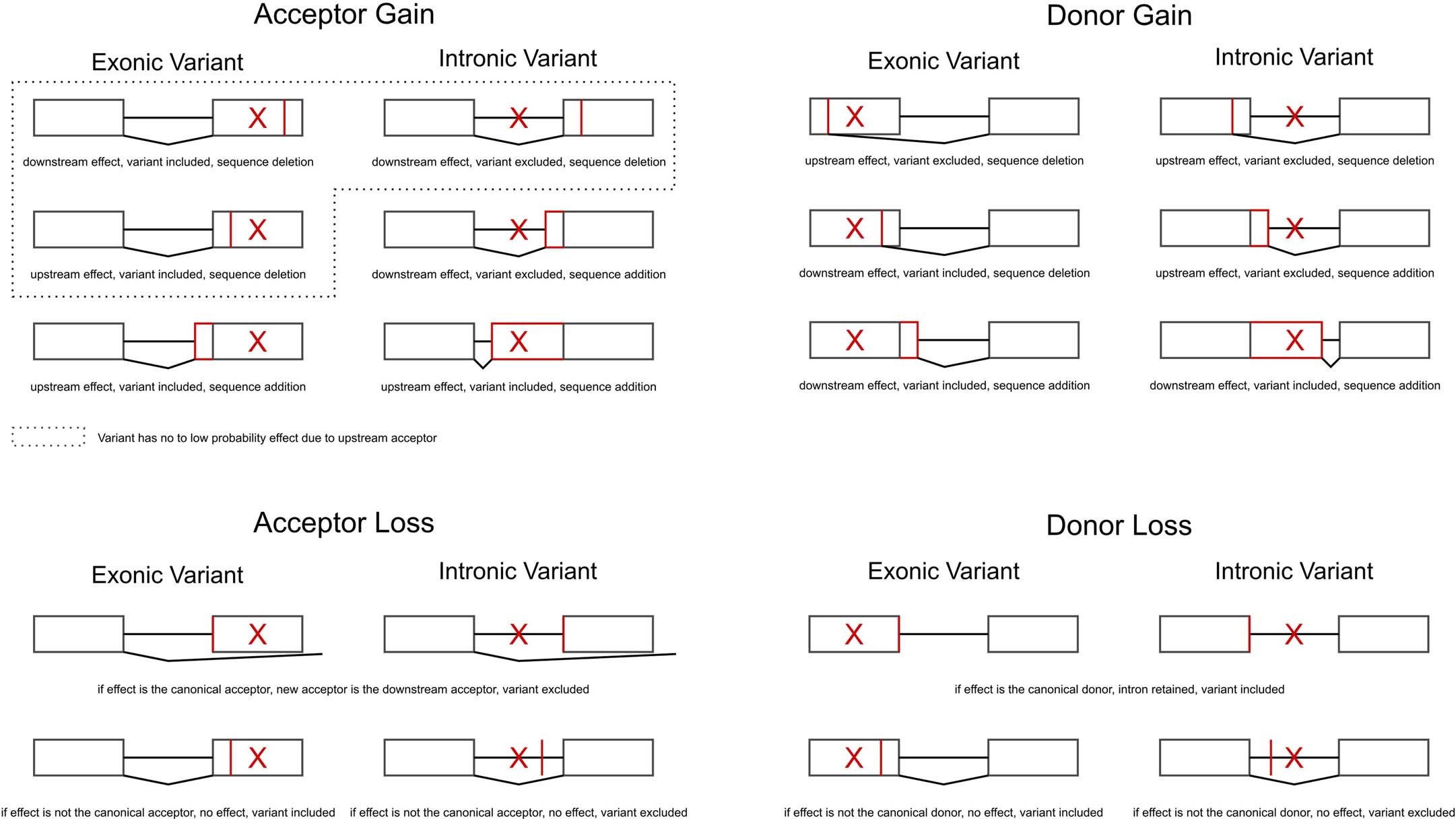 Extended Data Fig. 7: Modelling SAV effects on the canonical transcript.