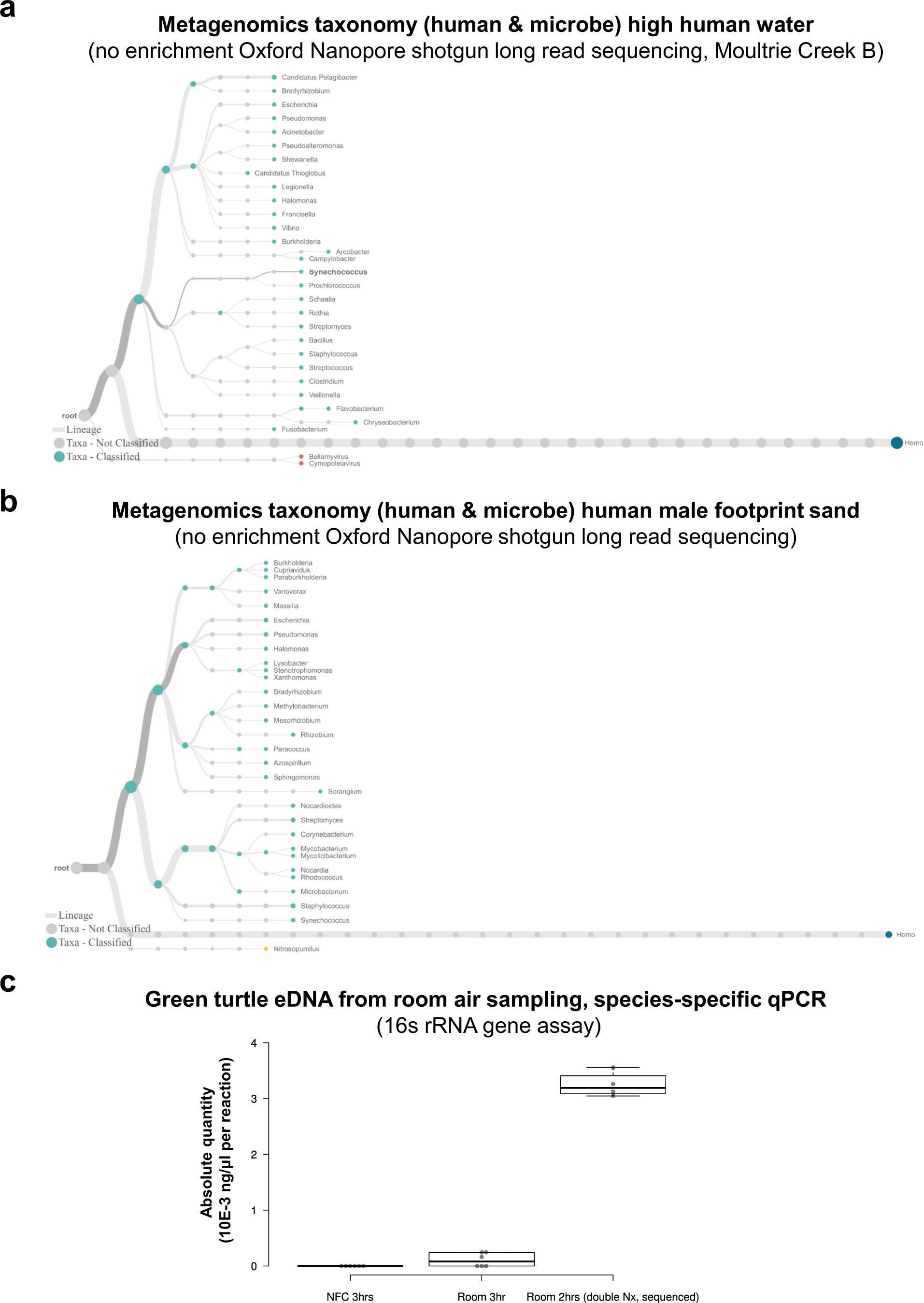Extended Data Fig. 8: Metagenomic analysis of nanopore data and qPCR-based green sea turtle species-specific qPCR-based quantification from room air eDNA samples.