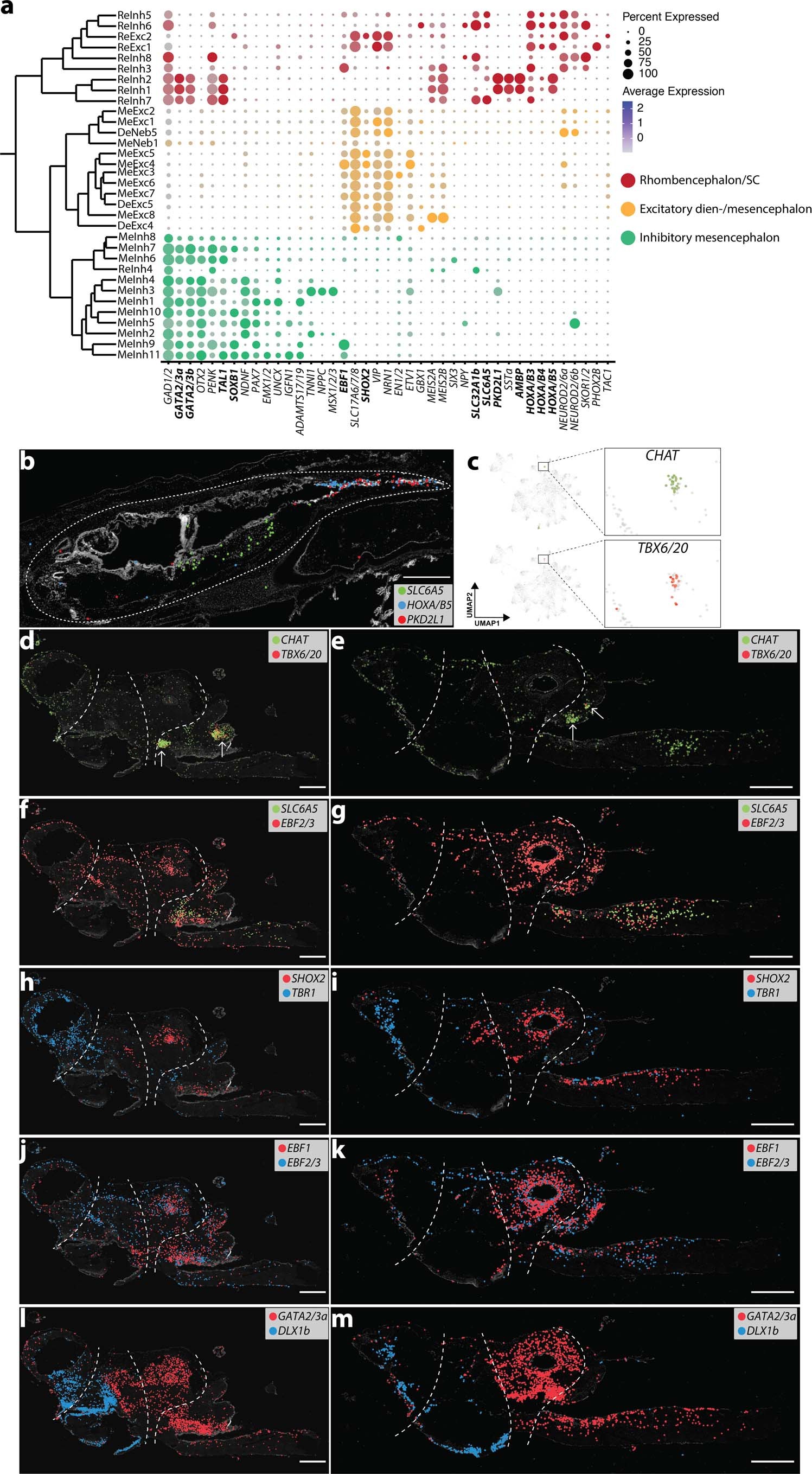 Extended Data Fig. 5