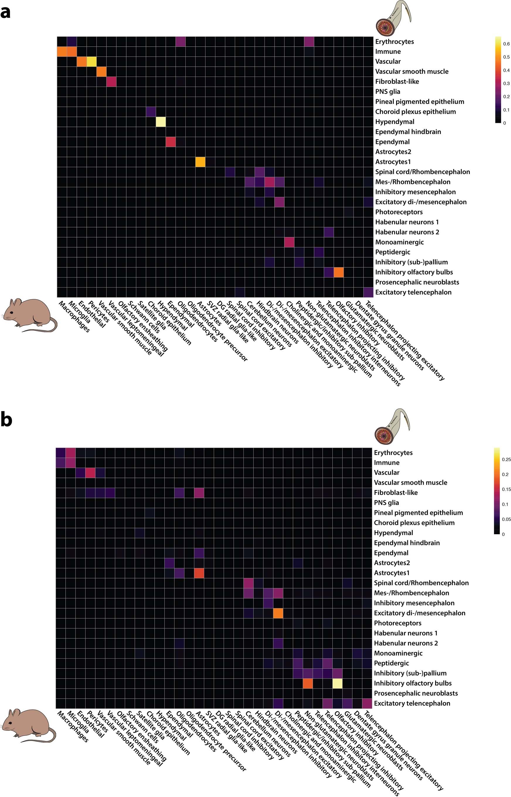 Extended Data Fig. 6