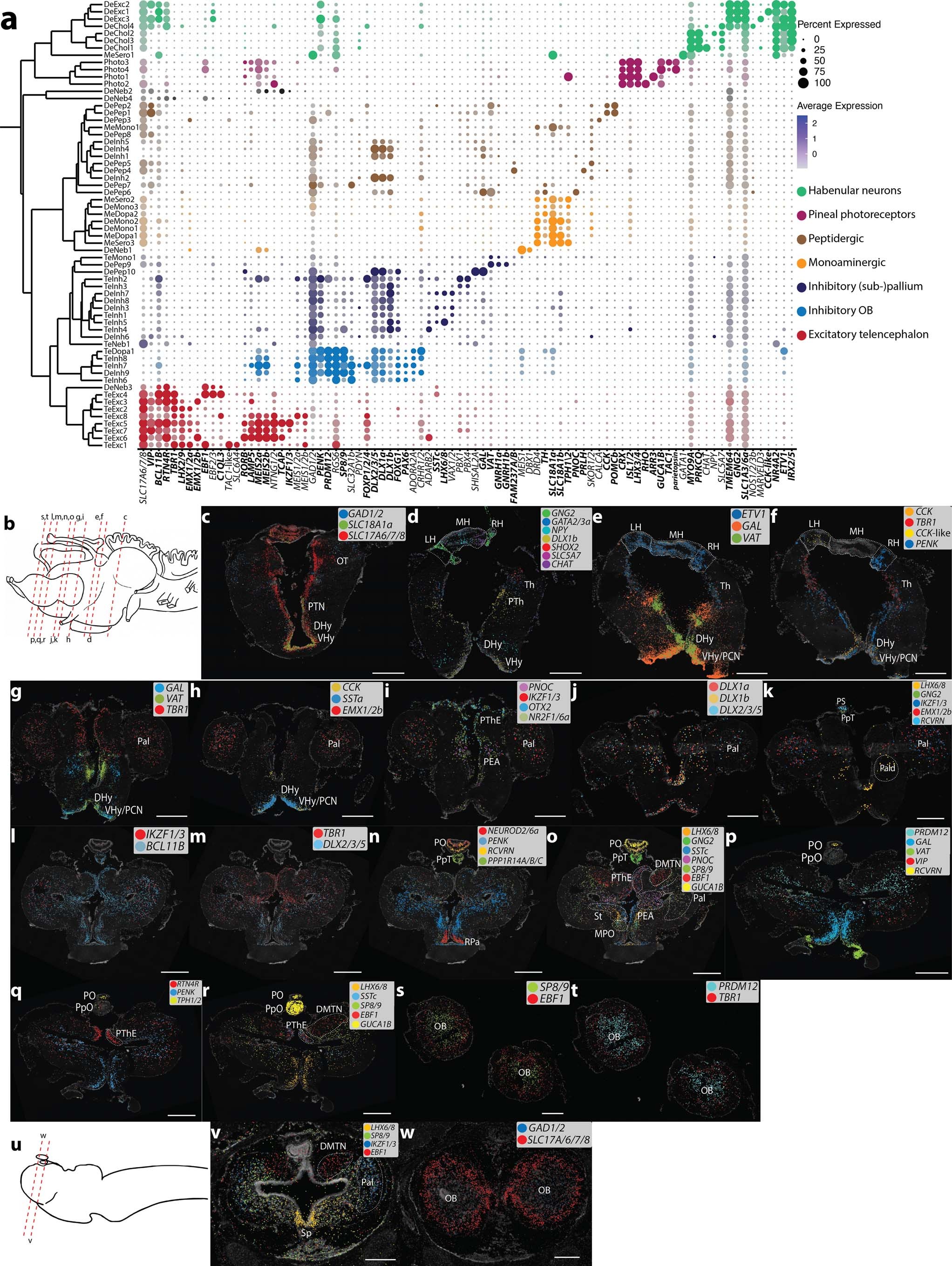 Extended Data Fig. 10
