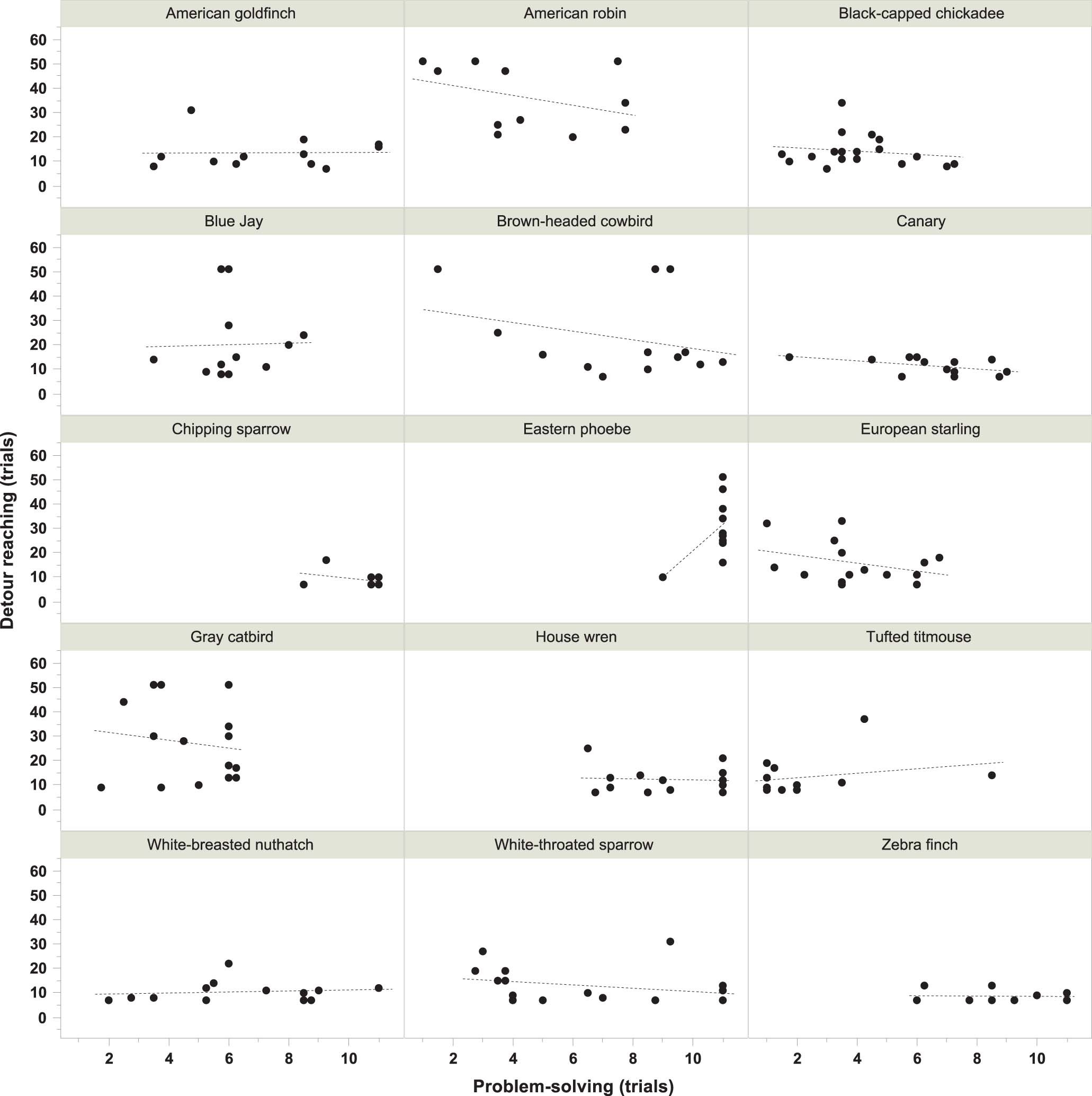 Extended Data Fig. 6: Intraspecific relationships between detour reaching and problem-solving performance for each of the 15 species.