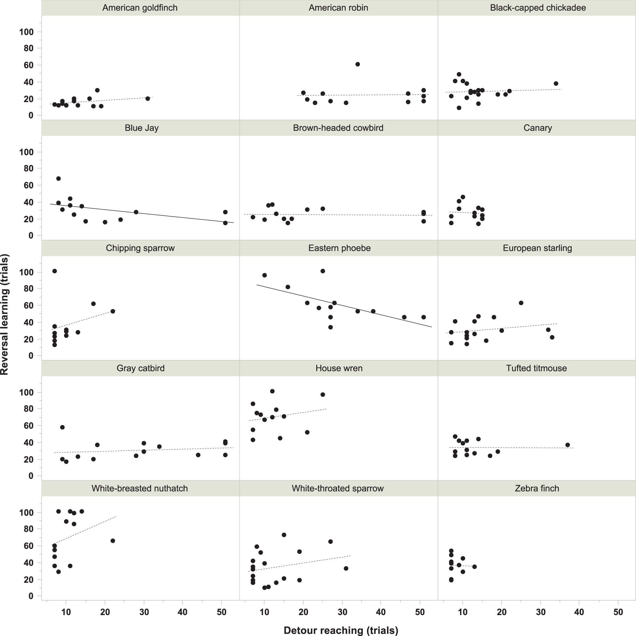 Extended Data Fig. 7: Intraspecific relationships between reversal learning and self-control performance for each of the 15 species.