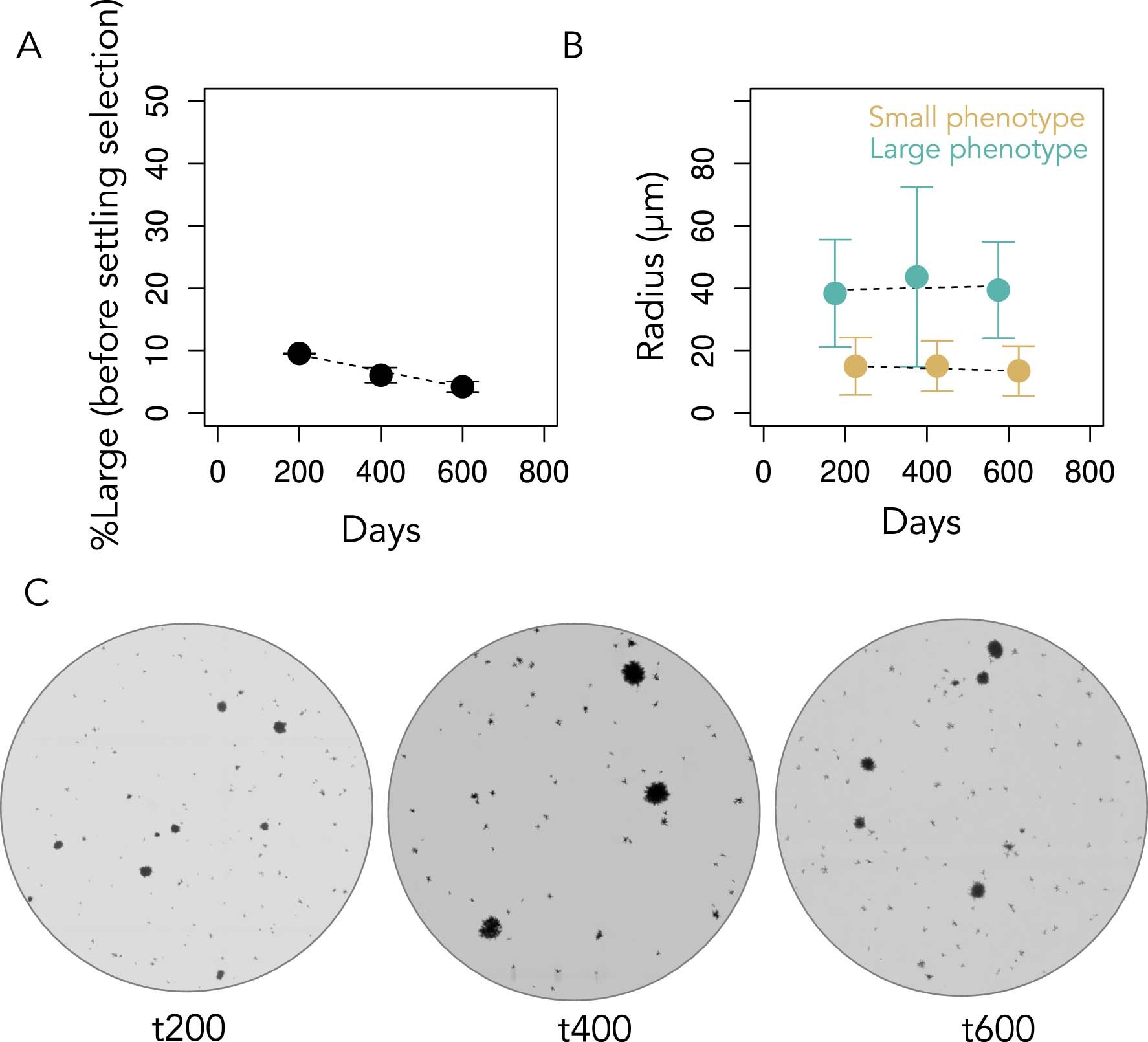 Extended Data Fig. 4