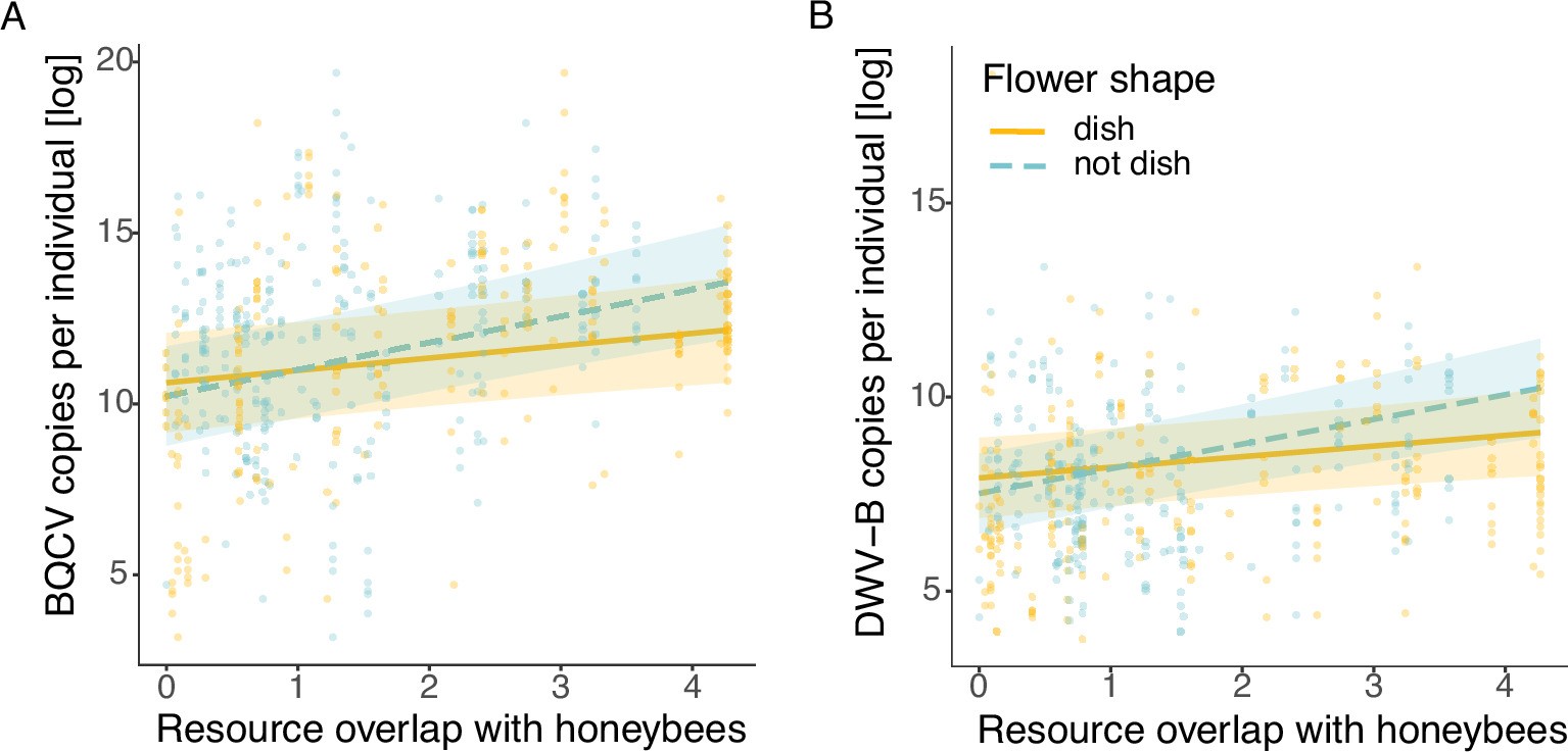 Extended Data Fig. 5: Floral resource overlap on dish-bowl vs. non-dish-bowl flowers.