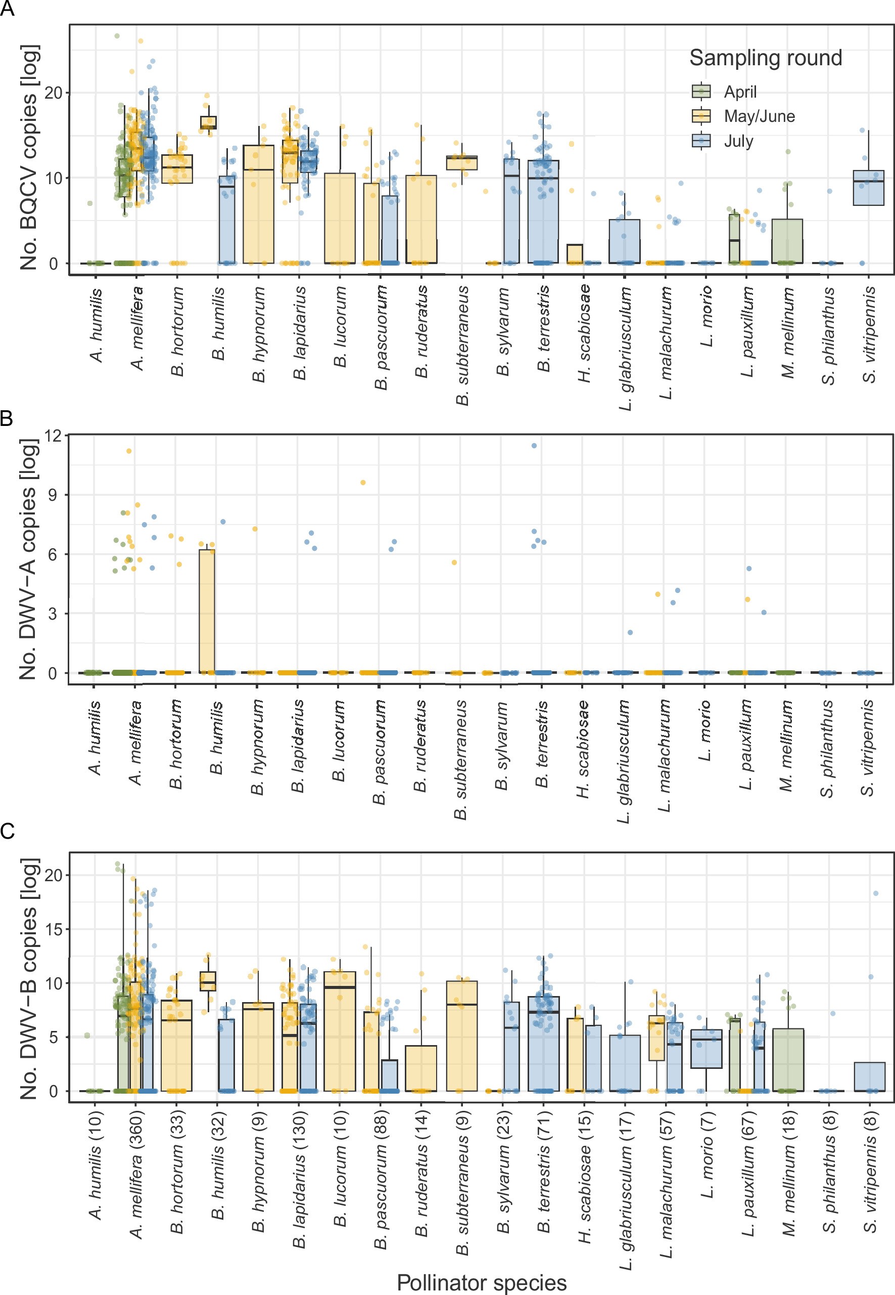 Extended Data Fig. 2: Overview of virus loads in pollinators.