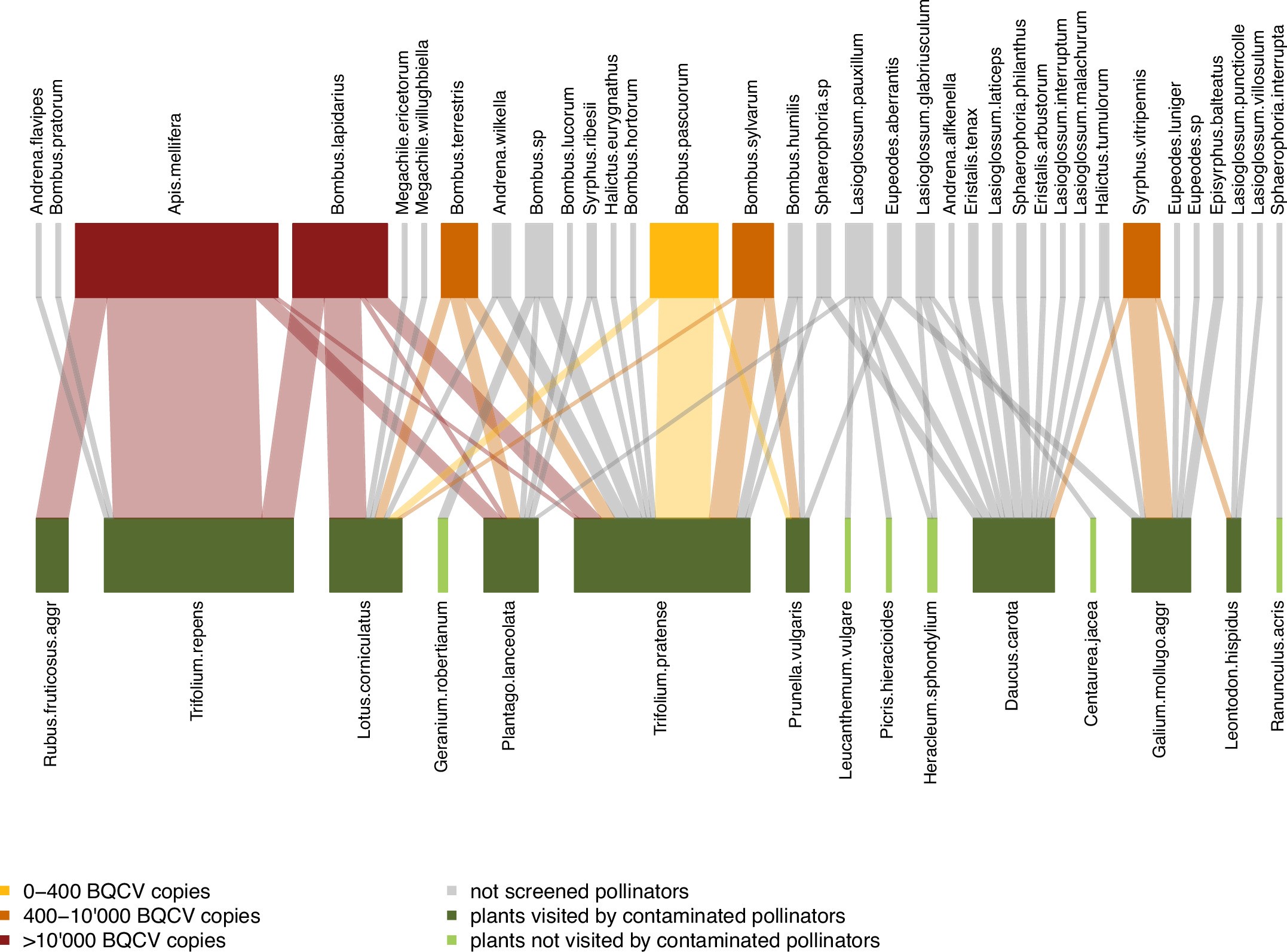 Extended Data Fig. 4: Example plant-pollinator network.