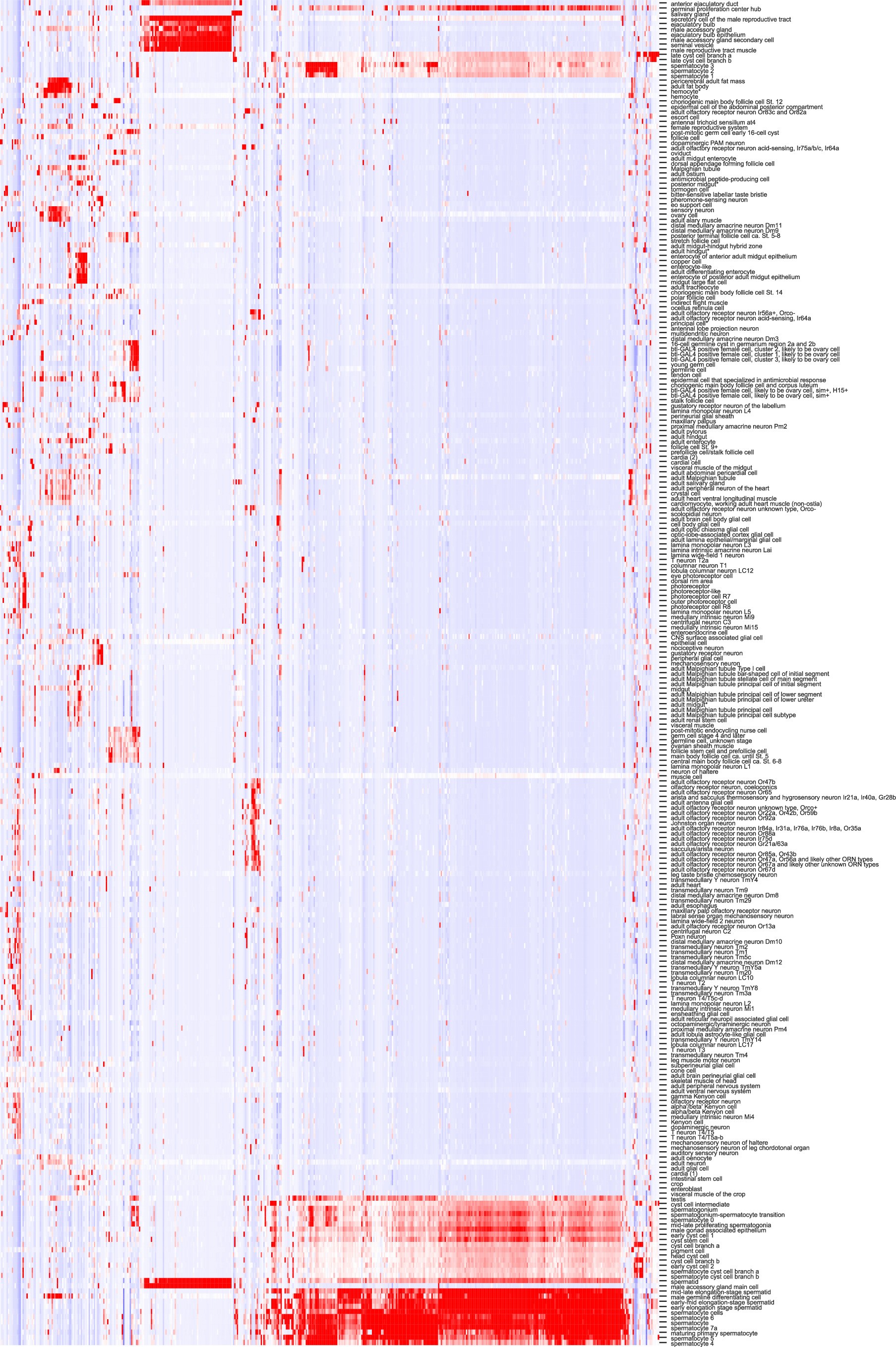 Extended Data Fig. 2: Clustering analysis of de novo gene expression across 250 different cell types.