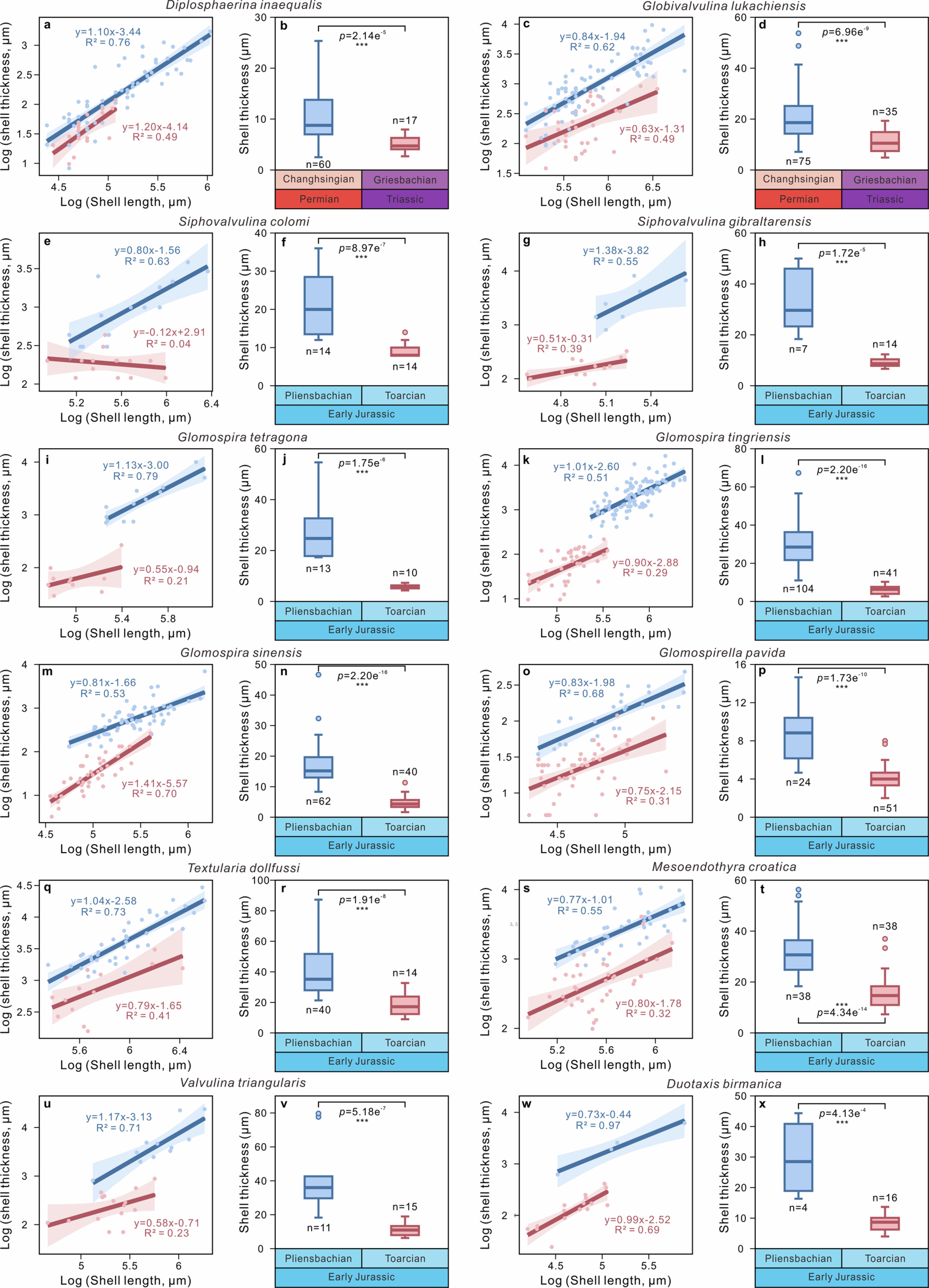 Extended Data Fig. 2: Relationships between shell length and shell thickness and change in shell thickness of foraminifera during the PTME and T-OAE.