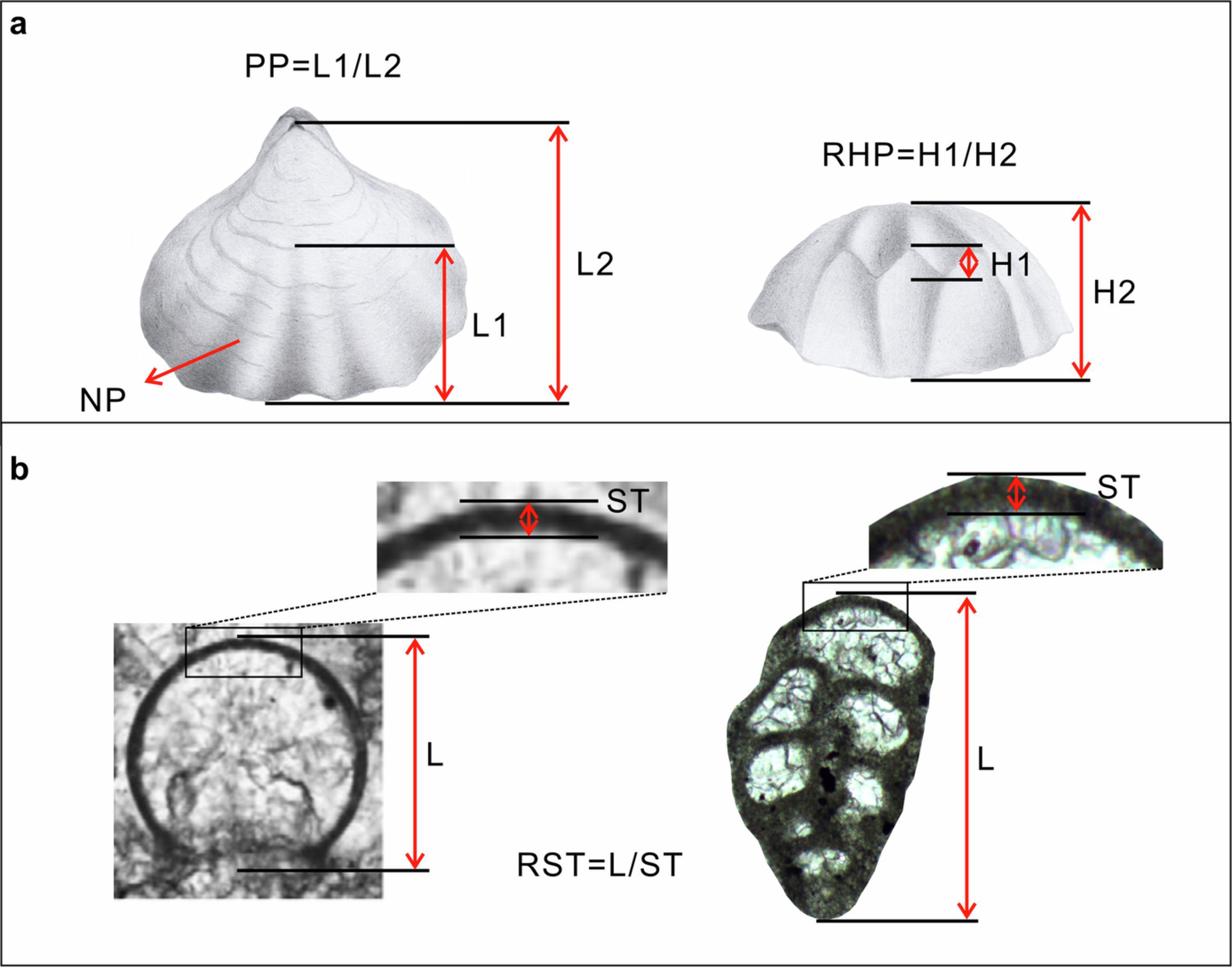 Extended Data Fig. 4: Illustration of statistical indicators.