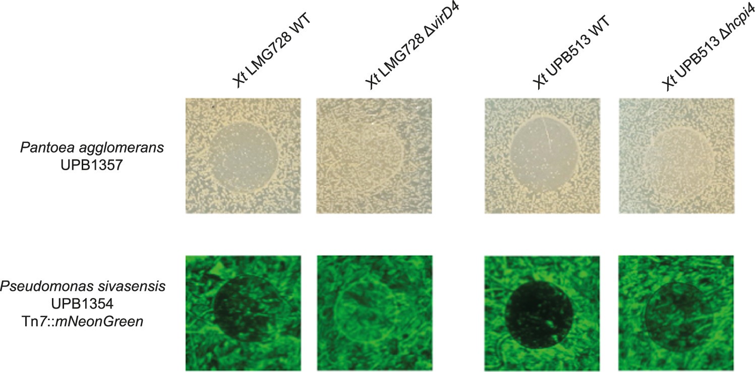Extended Data Fig. 4