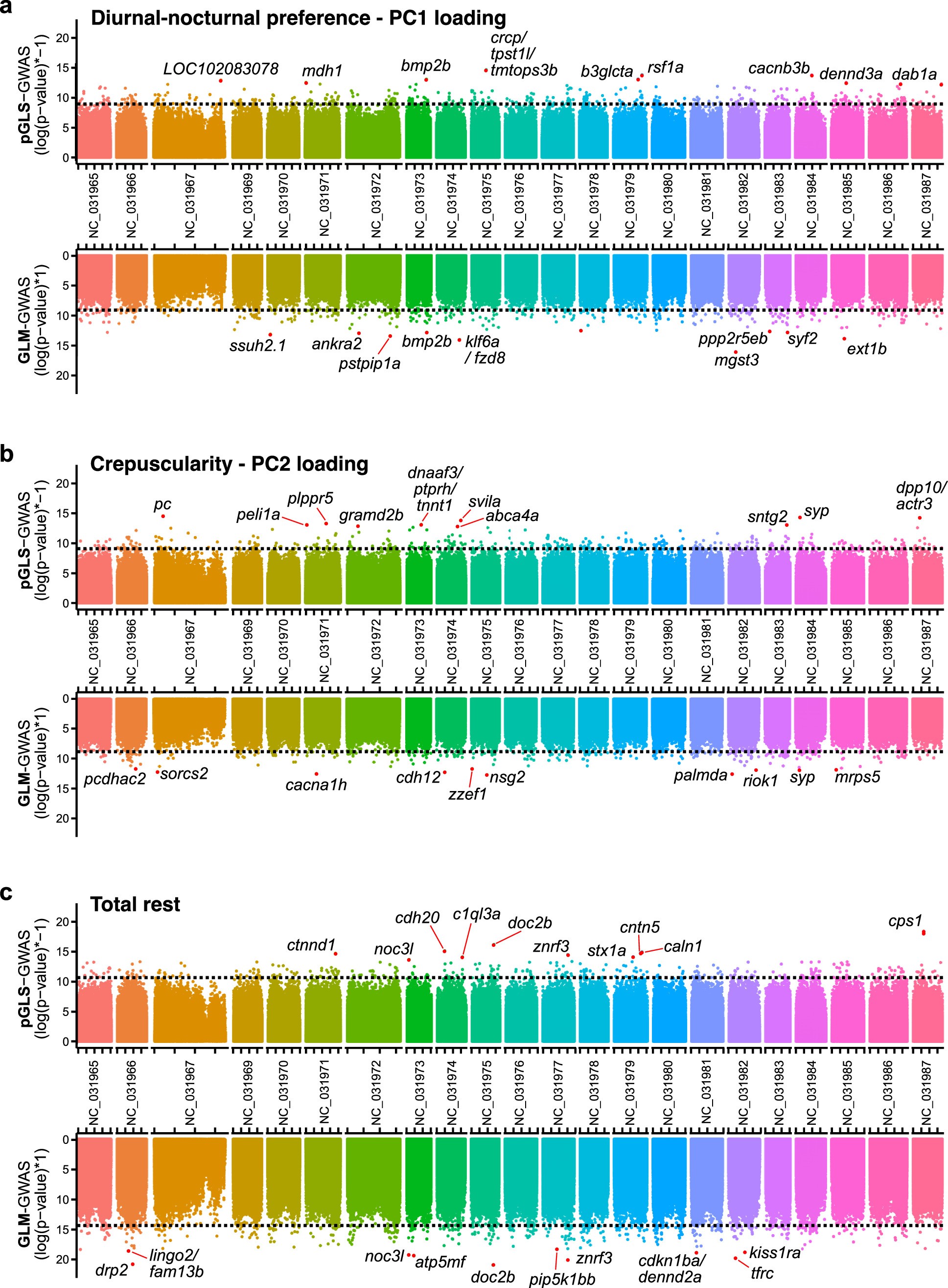 Extended Data Fig. 9: Variants associated with temporal activity patterns are distributed throughout the genome.