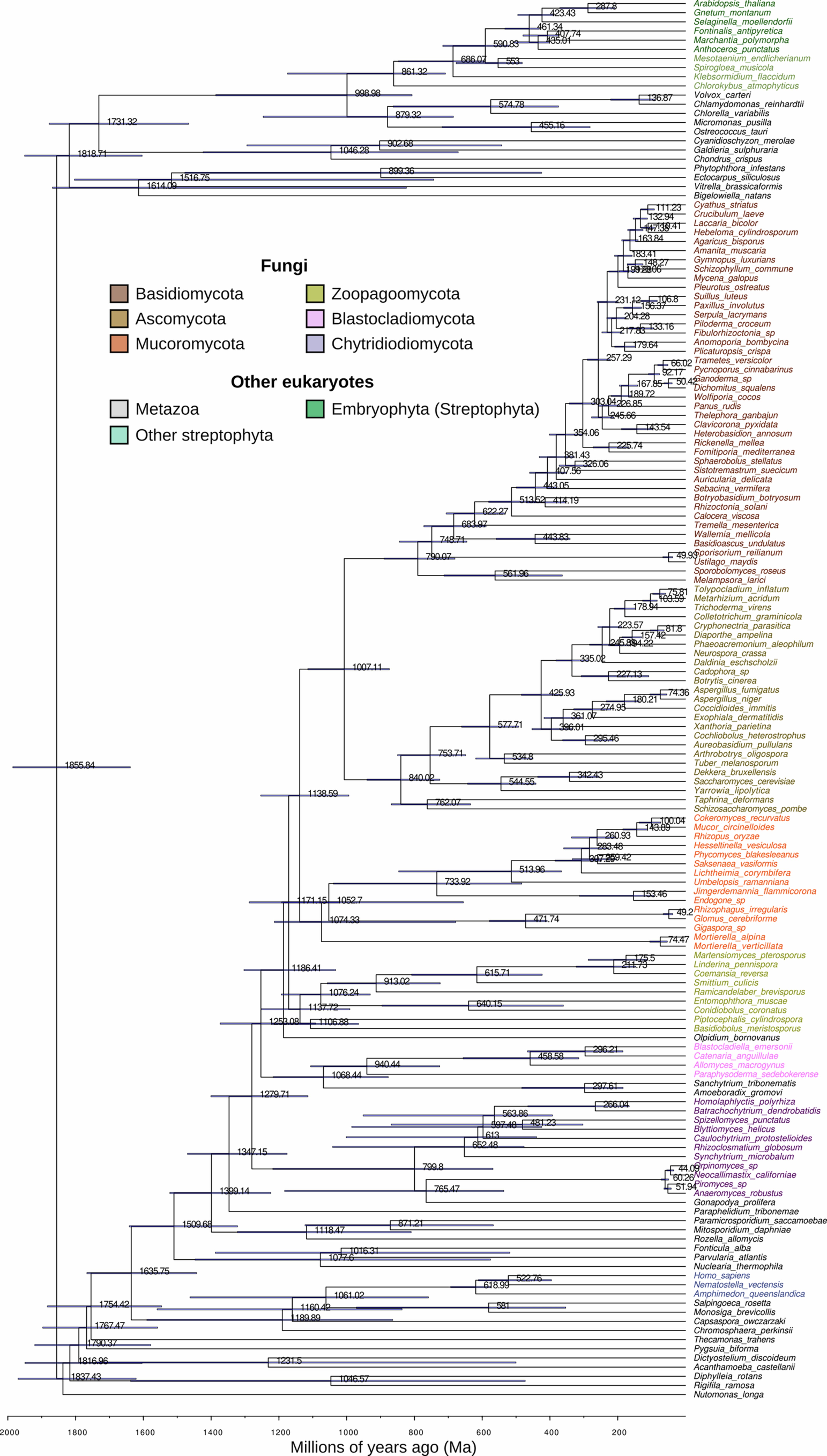 Extended Data Fig. 3