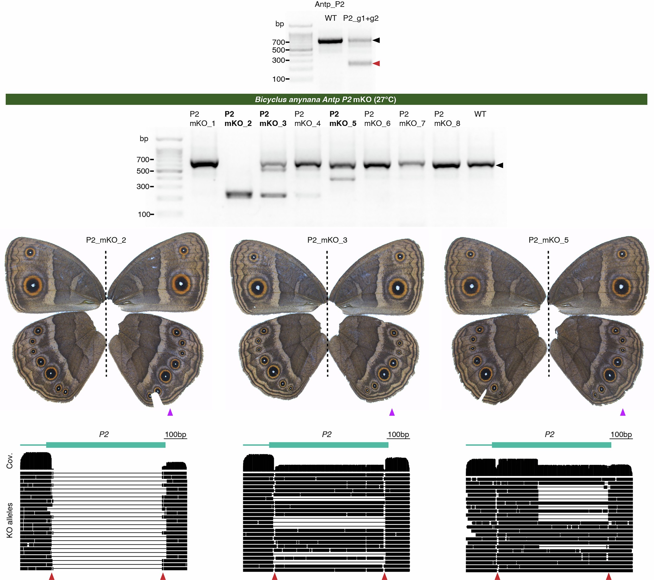 Extended Data Fig. 7